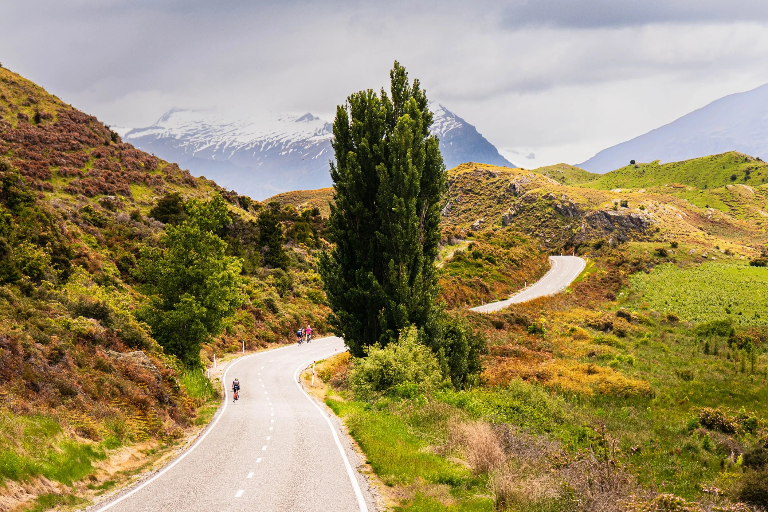 Scenic winding mountain road through green and brown landscape with trees and snow-capped mountains in the background, and people riding bicycles on the road.