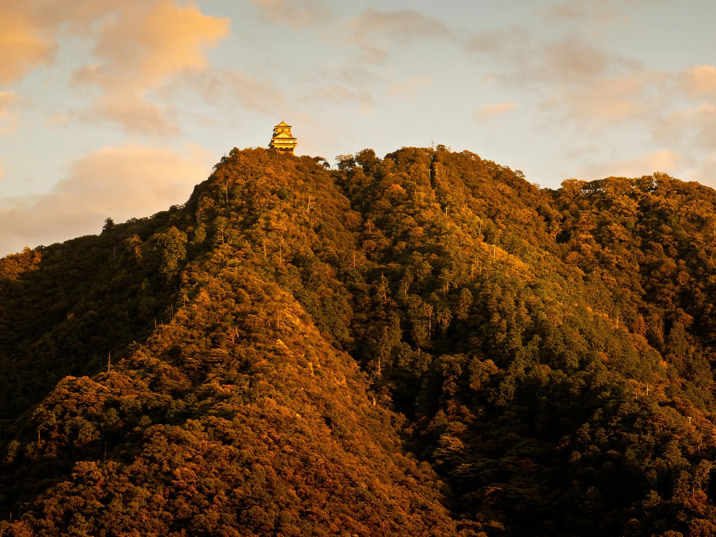 A mountain covered with dense trees with a traditional Asian-style castle at the top, bathed in warm golden sunlight.