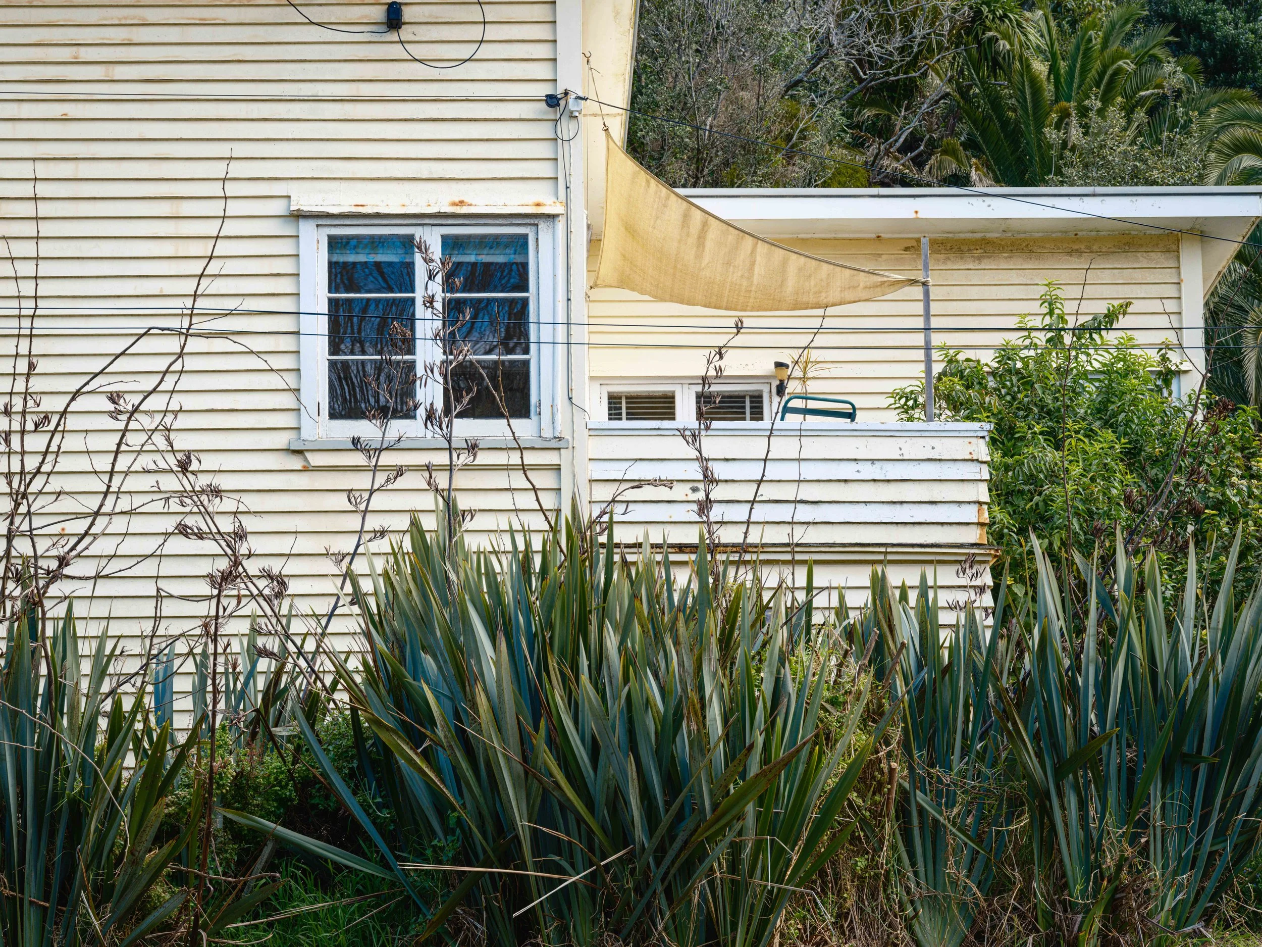 Back of an old, yellow wooden house with a small balcony and a window, surrounded by overgrown plants and tall, spiky greenery in the foreground.