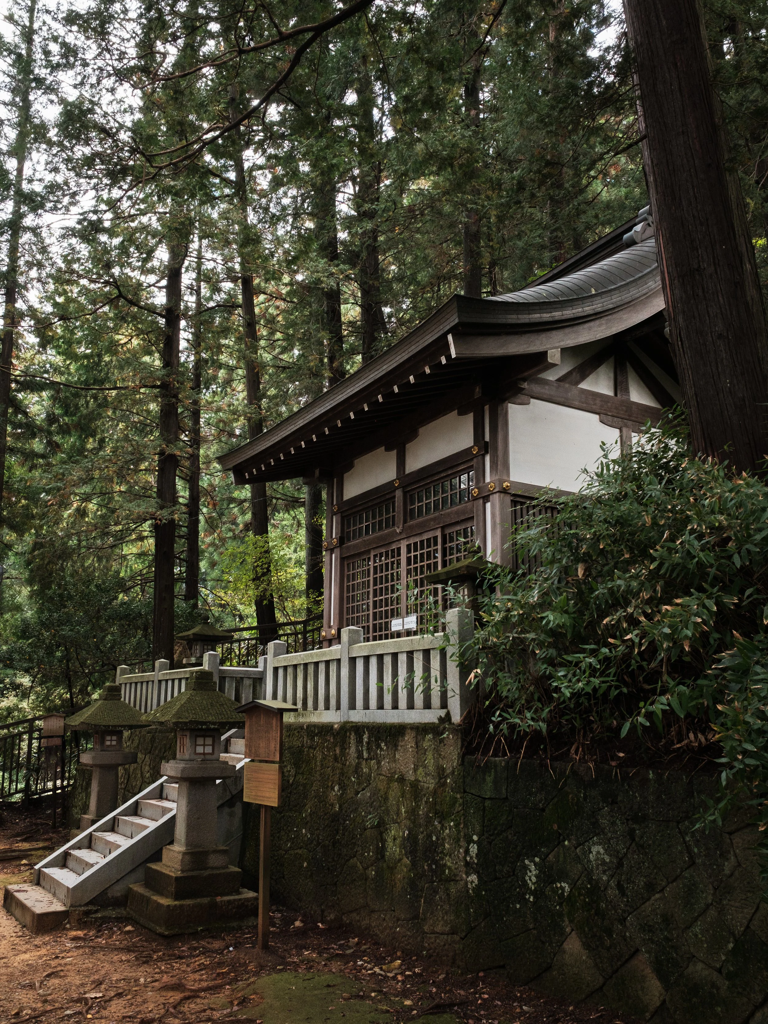 A traditional Japanese shrine surrounded by tall forest trees, with stone lanterns and stairs leading up to it.