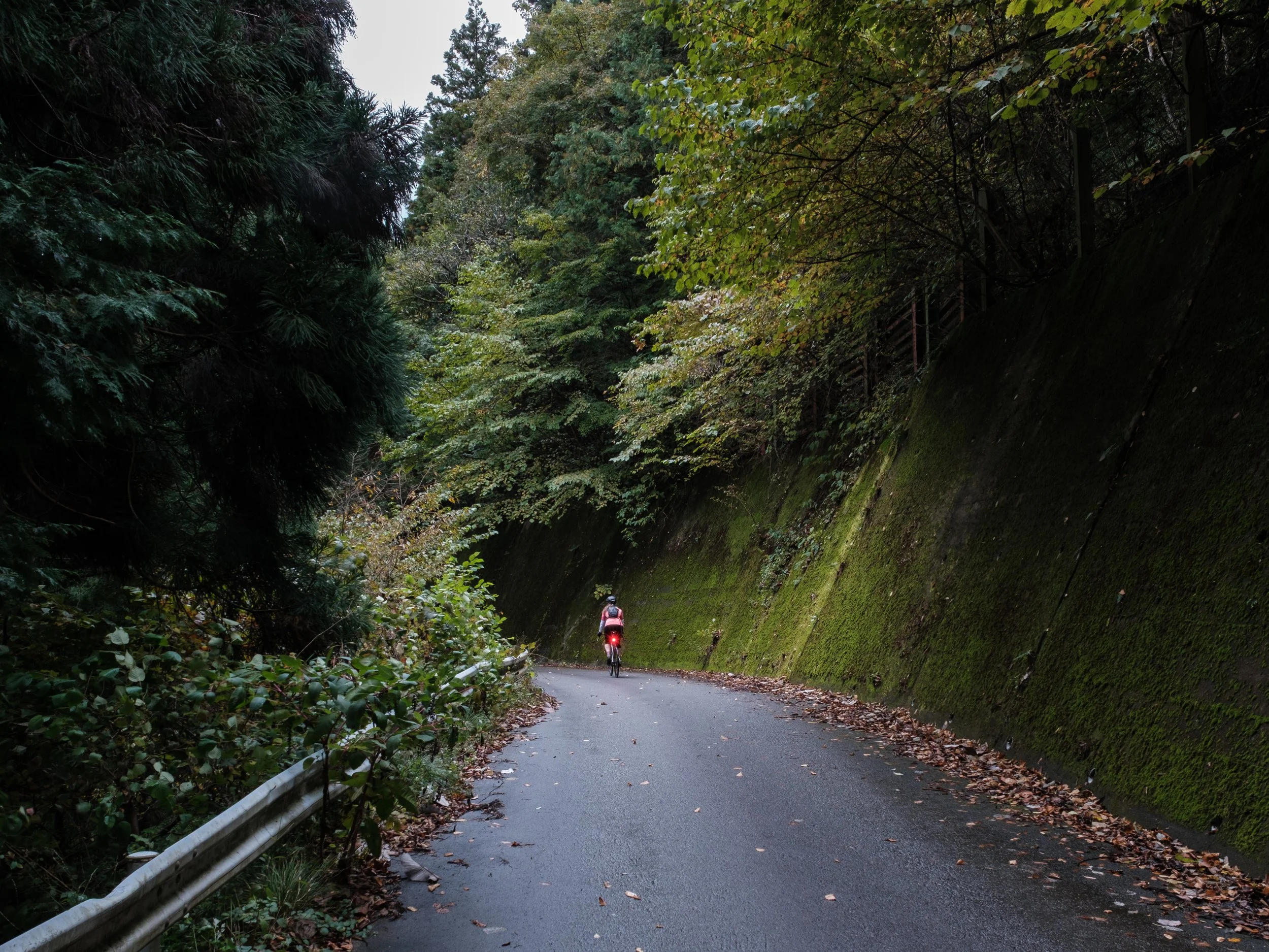 A person riding a bicycle on a winding forest road with moss-covered walls and fallen leaves.