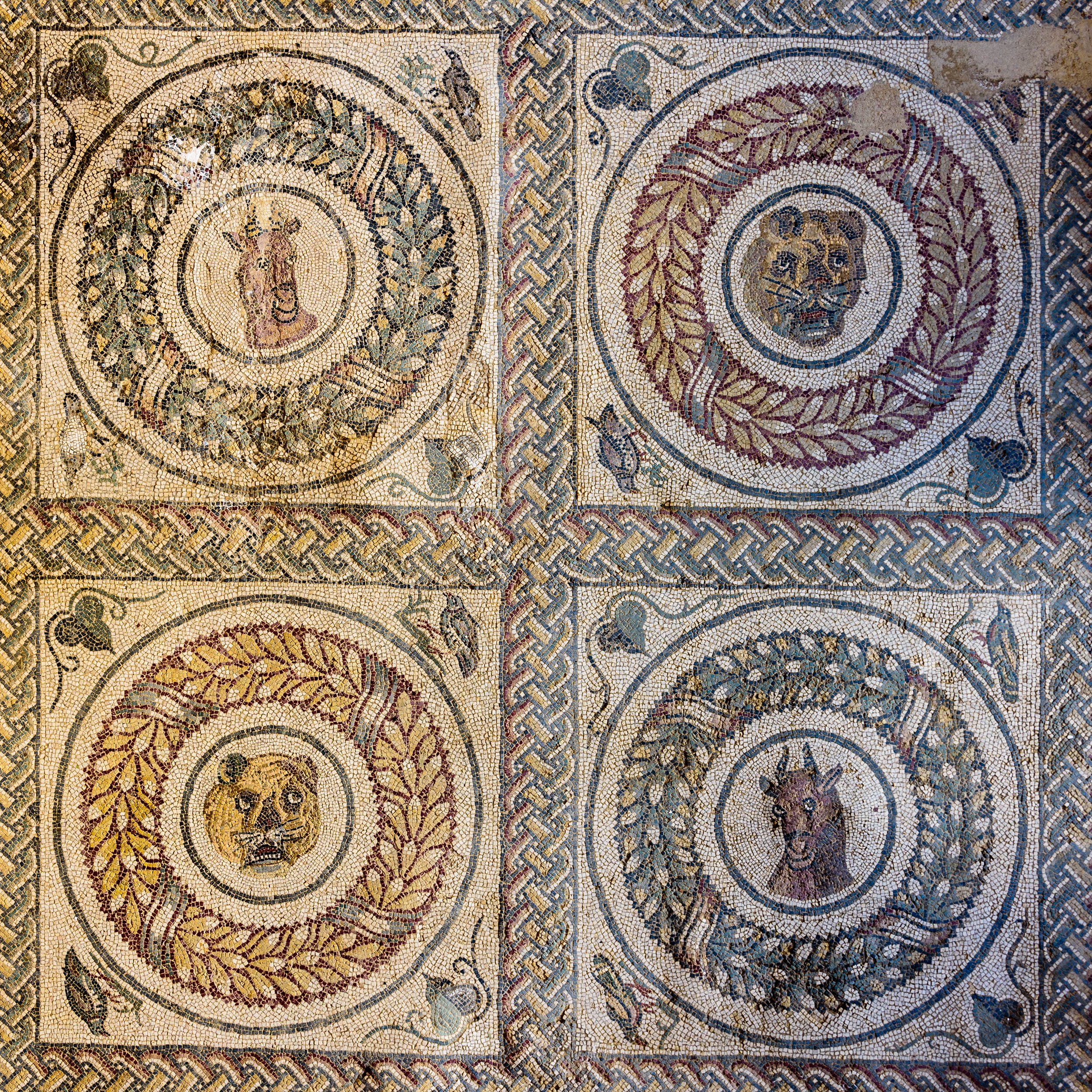 Ancient Roman mosaic with four square panels, each depicting a different animal head surrounded by a wreath, with intricate geometric borders.