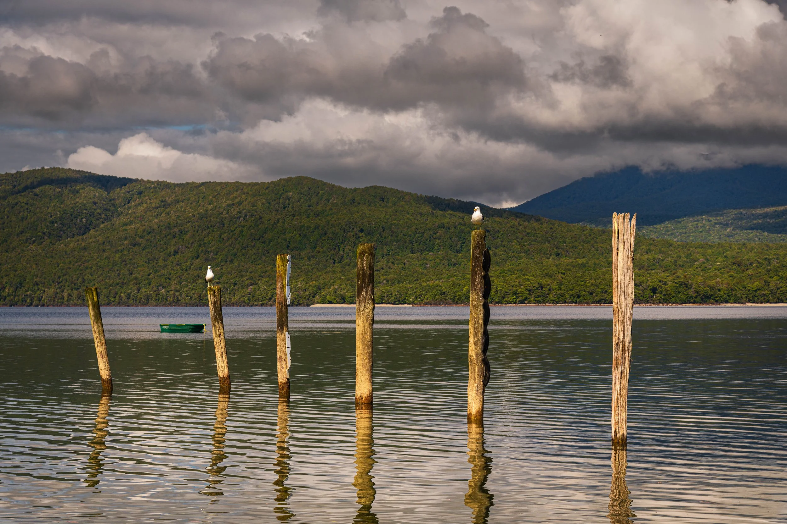 A calm body of water with seven weathered wooden posts, two seagulls perched on some posts, a small green rowboat, and a distant tree-covered hill under a cloudy sky.