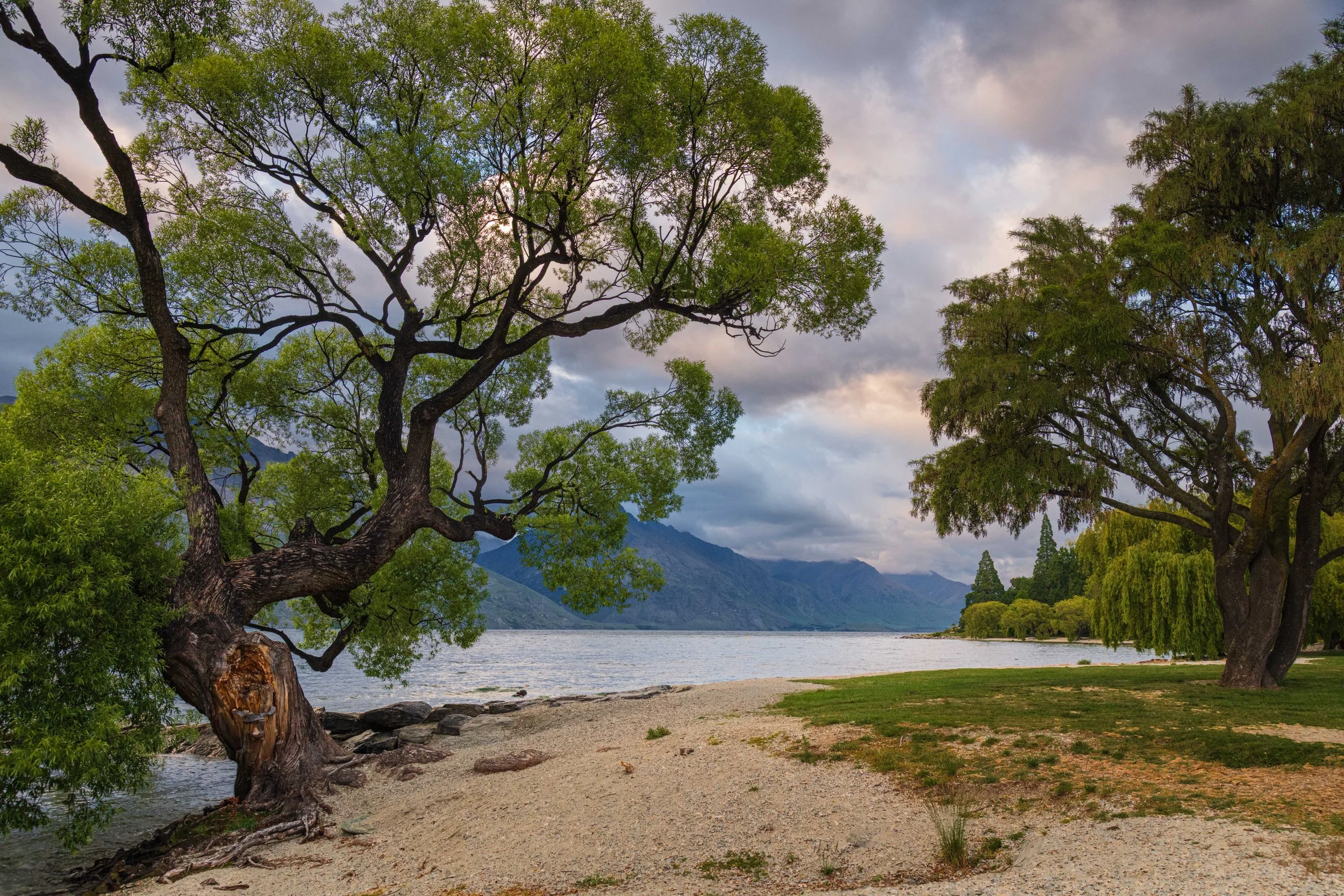 Scenic view of a lakeside park with green trees, sandy shoreline, and mountains in the background under a cloudy sky.