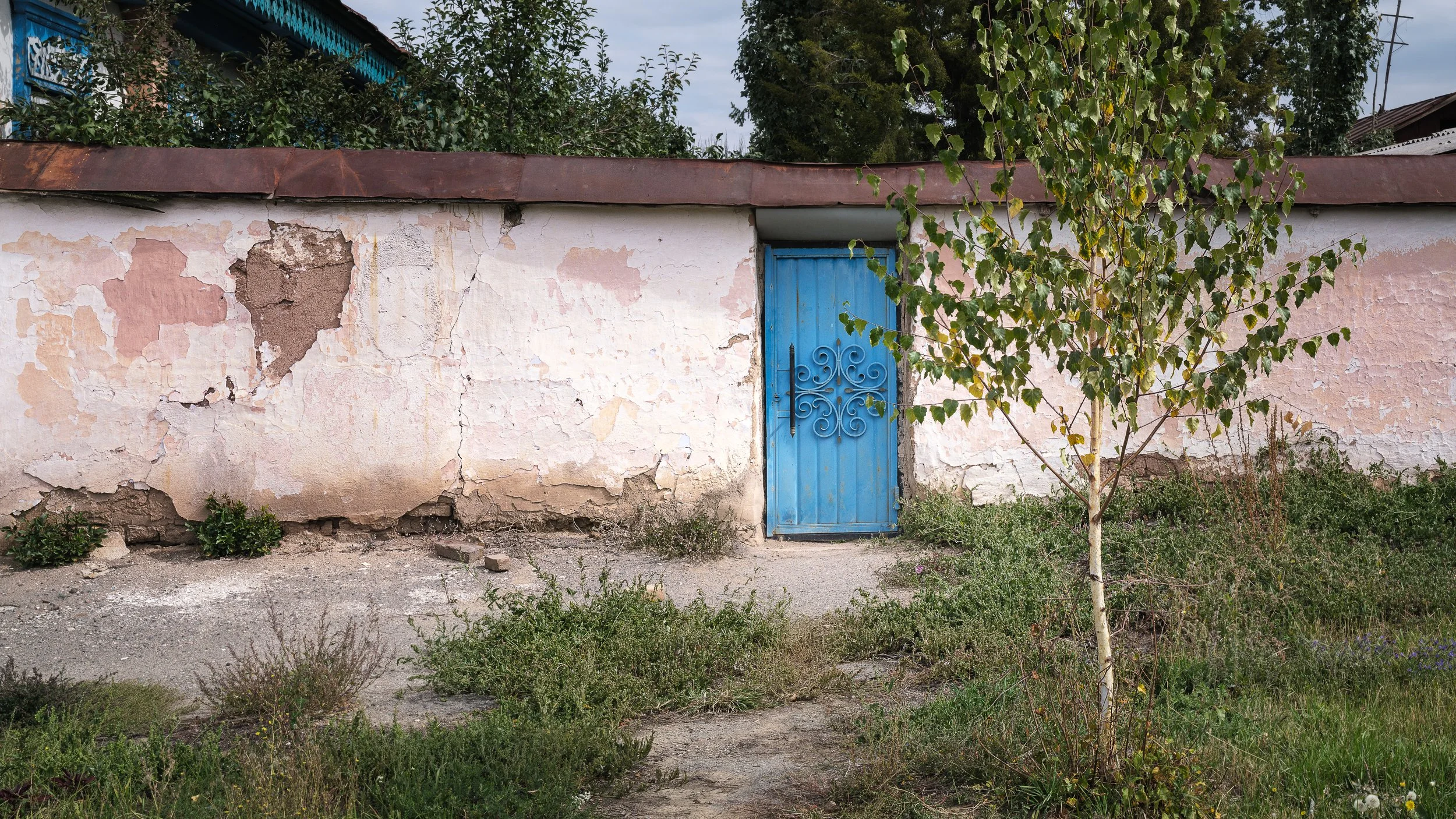 An old, weathered wall with peeling paint and cracks, a blue metal door with decorative scrollwork, and a small tree in front with green leaves and overgrown grass.
