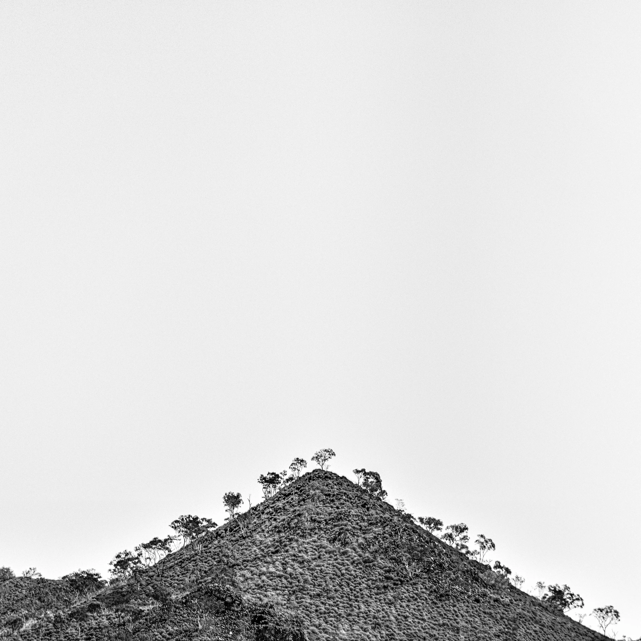 Black and white photo of a mountain with sparse trees on top and along the slopes.