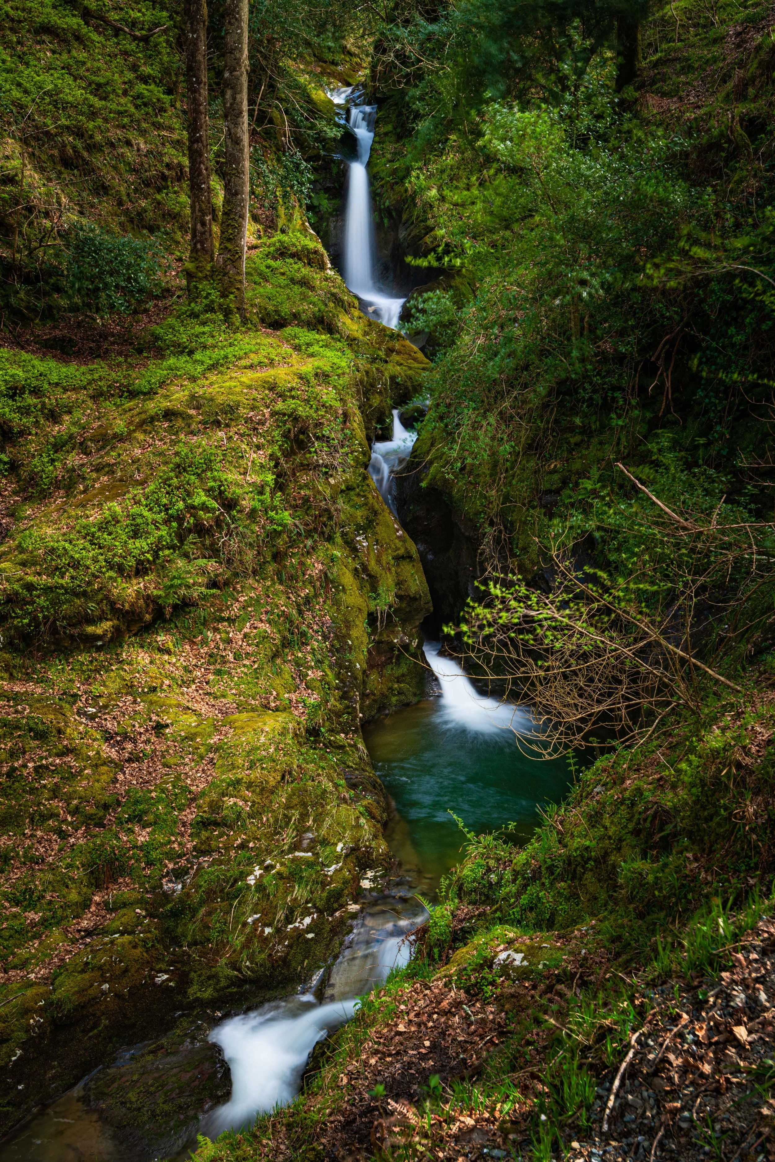 A scenic view of a multi-tiered waterfall in a lush green forest, flowing into a clear pool surrounded by moss-covered rocks and trees.