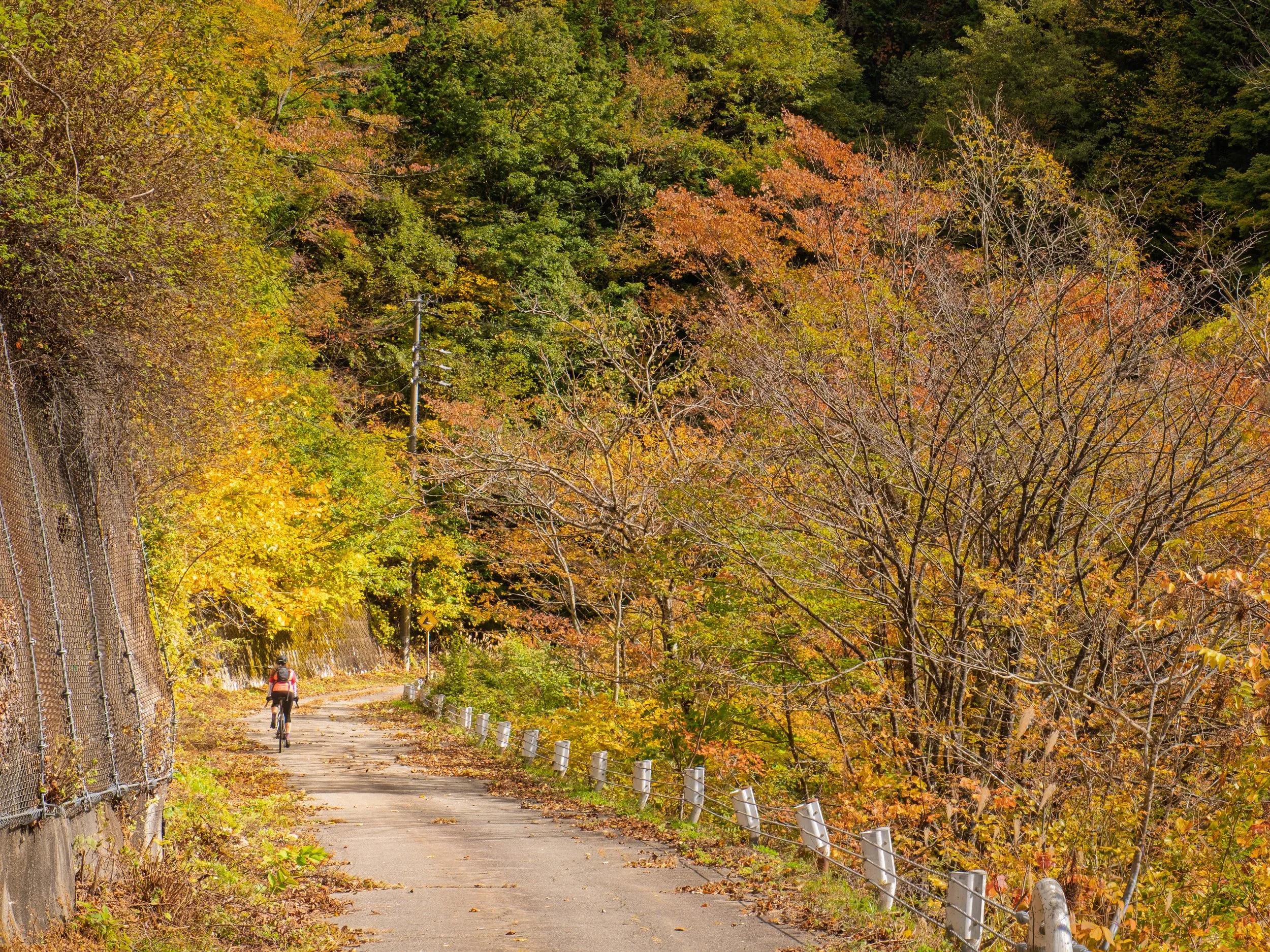A person cycling on a narrow paved path surrounded by colorful autumn trees and foliage.