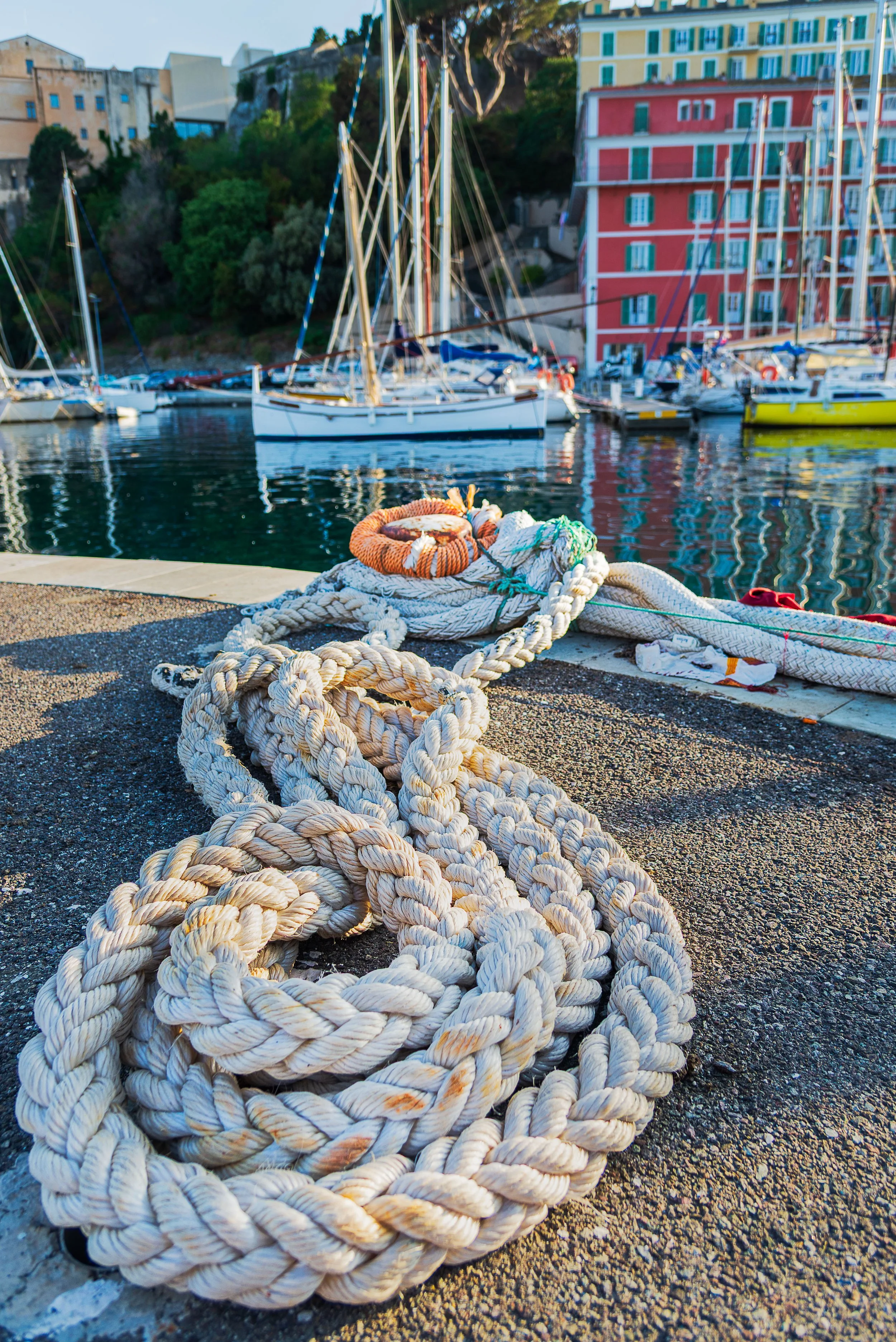 Thick white ropes coiled on a concrete dock at a marina with sailboats and colorful buildings in the background.