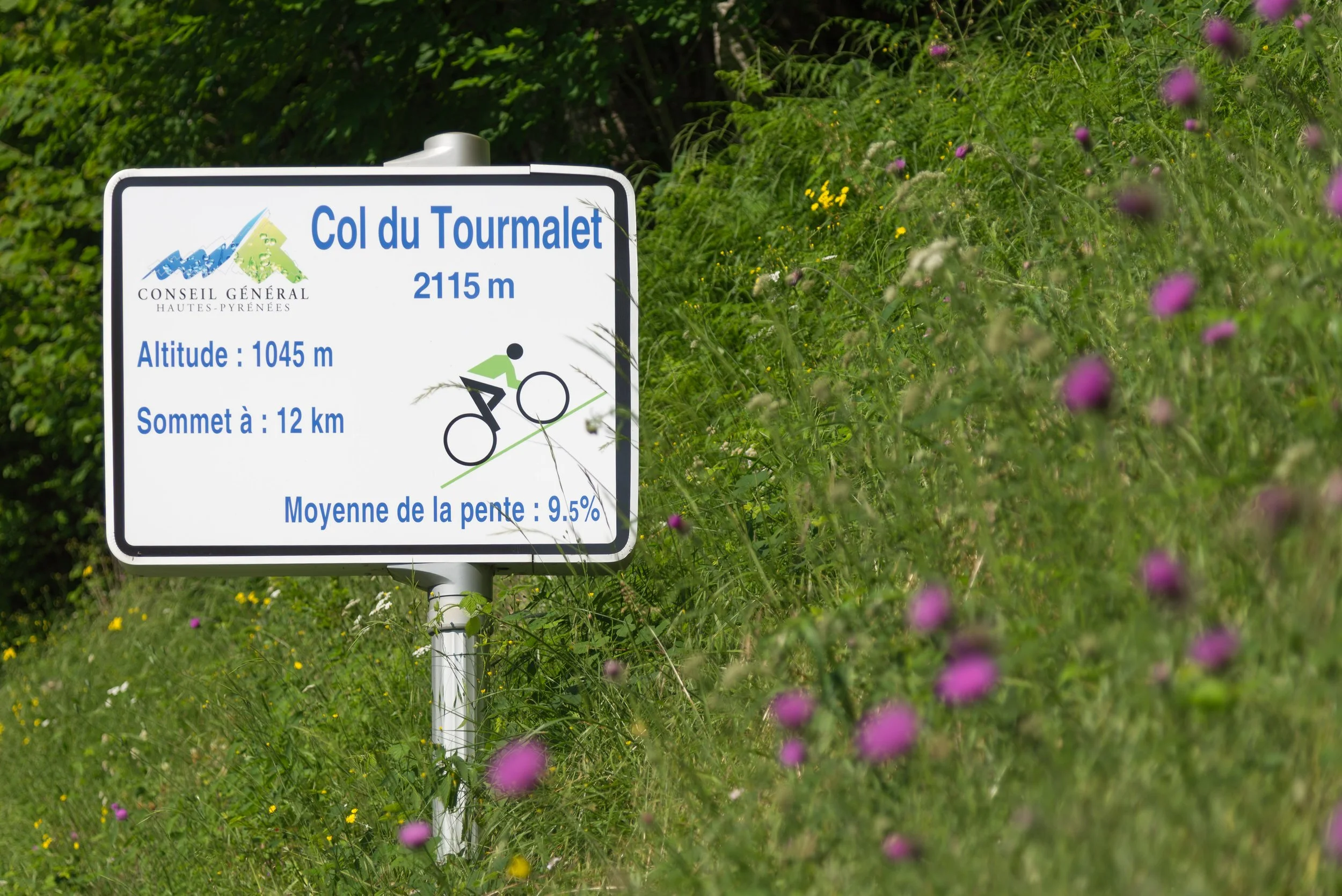 Signboard for Col du Tourmalet mountain pass, indicating an elevation of 2115 meters, at an altitude of 1045 meters, with the summit 12 kilometers away, and an average slope of 9.5%, surrounded by green grass and purple wildflowers.