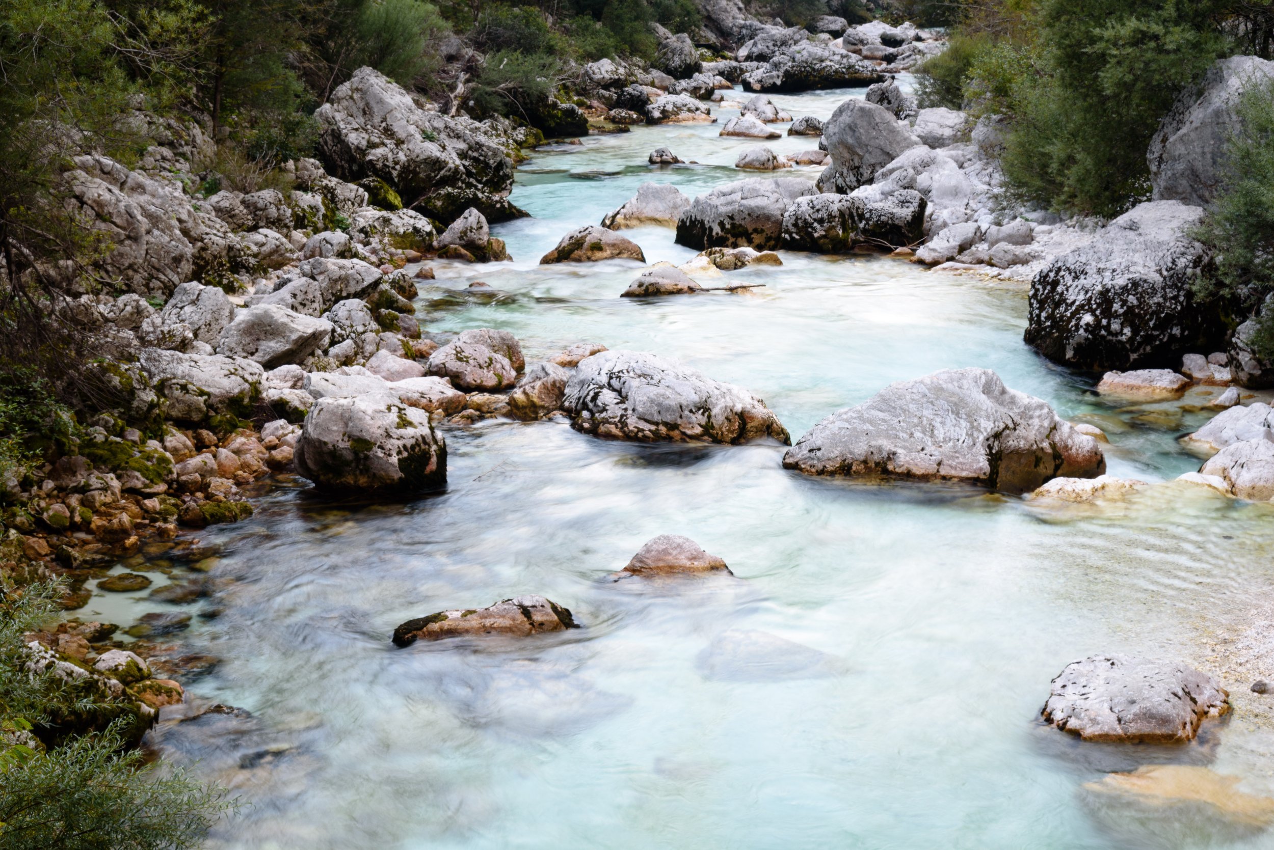A rocky mountain stream flowing through a forest with green trees on both sides.