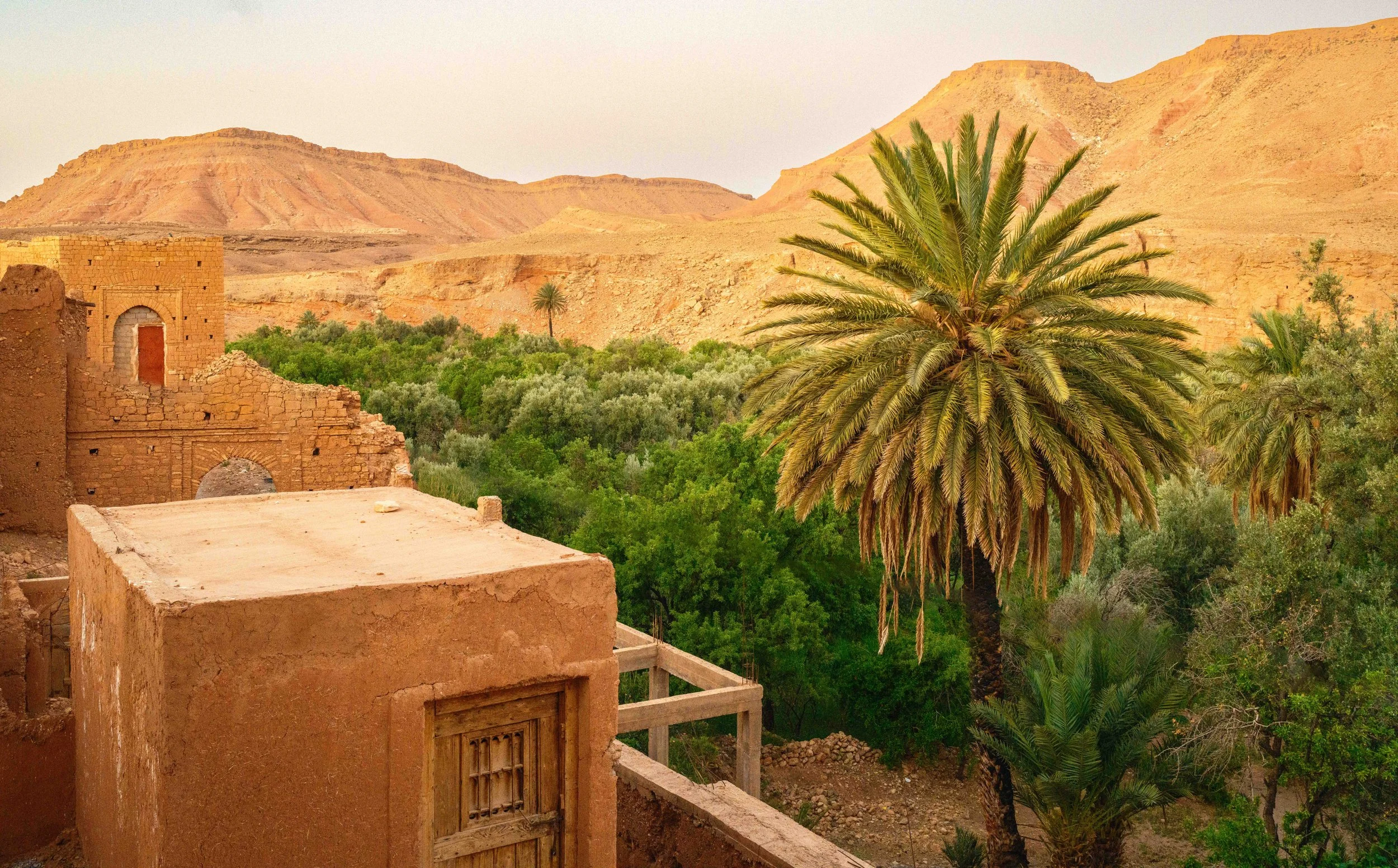 A desert landscape with traditional mud-brick buildings, a tall palm tree, lush green trees, and arid mountains in the background.