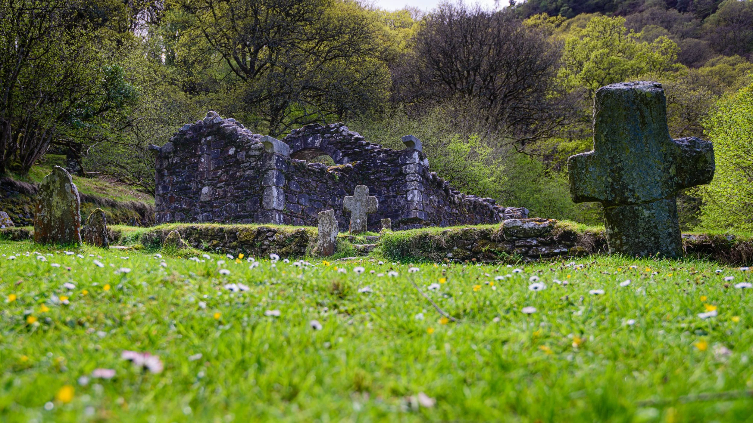 Ancient stone crosses and ruins of a church in a grassy field with wildflowers, surrounded by trees in springtime.