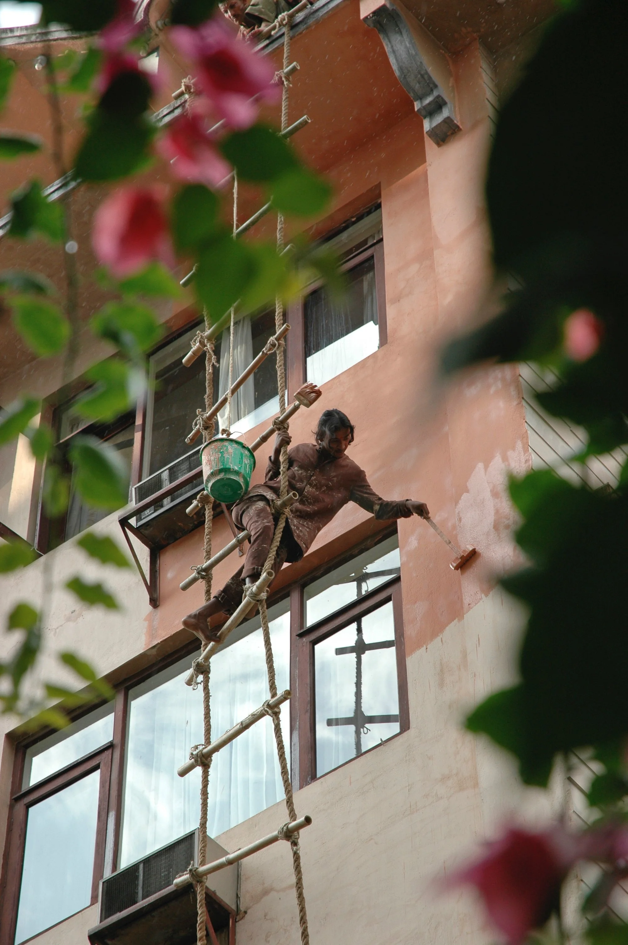 A woman painting the exterior wall of a building with a roller brush, using scaffolding and surrounded by pink flowers.
