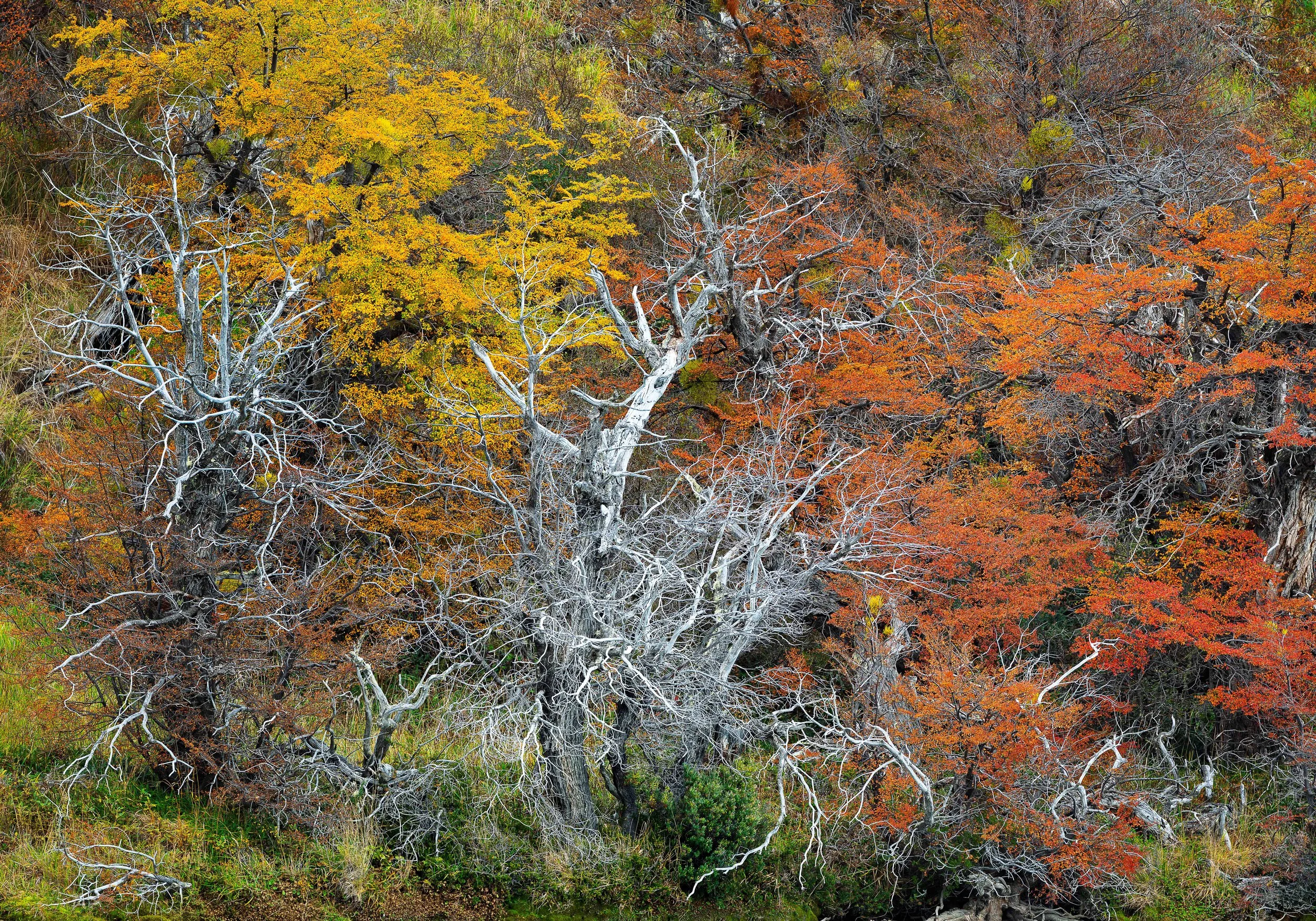 landscape and travel photos by Brisbane photographer Ralph McConaghy |