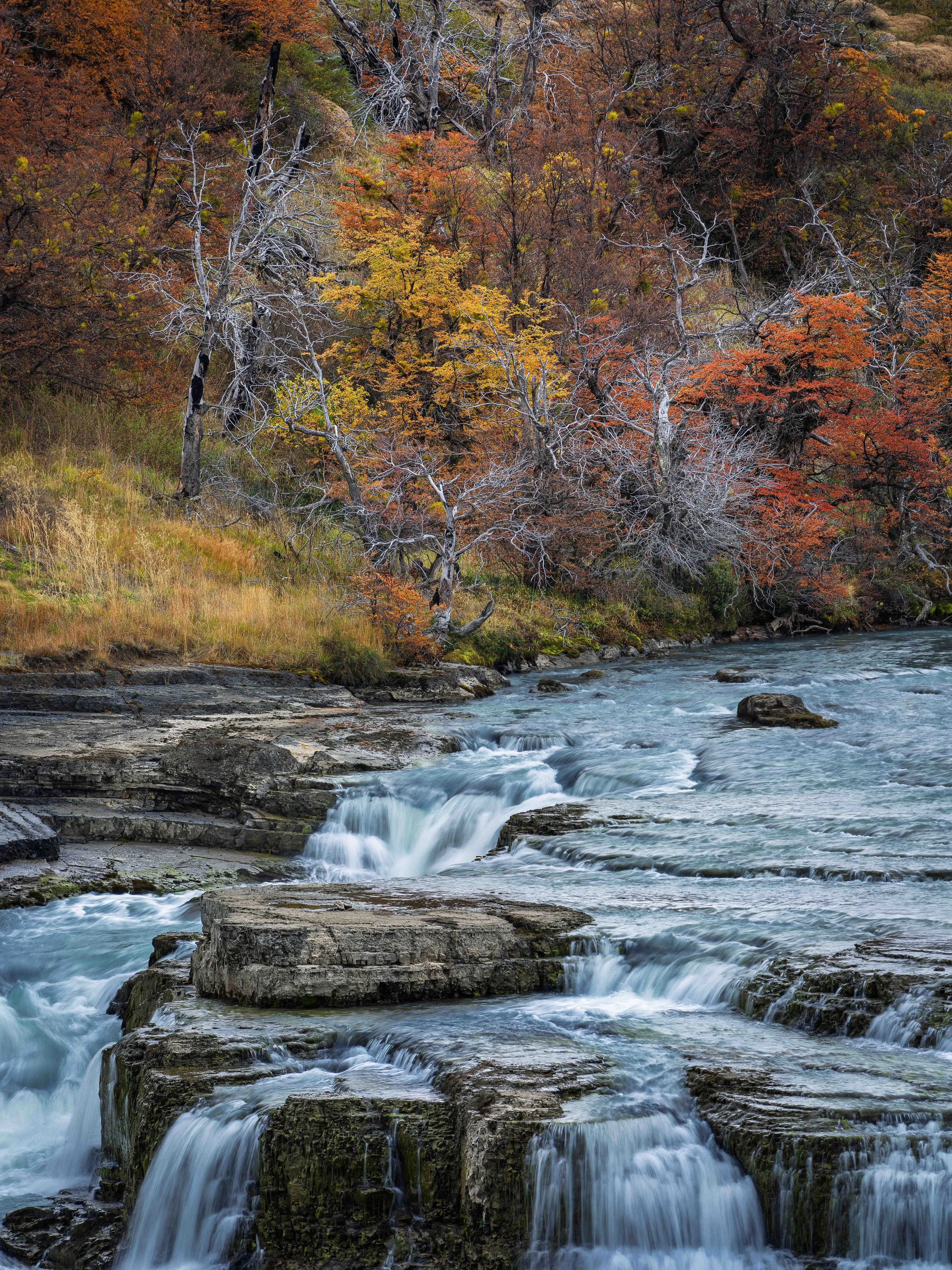 Flowing river over rocks with trees showing autumn foliage on a hillside.