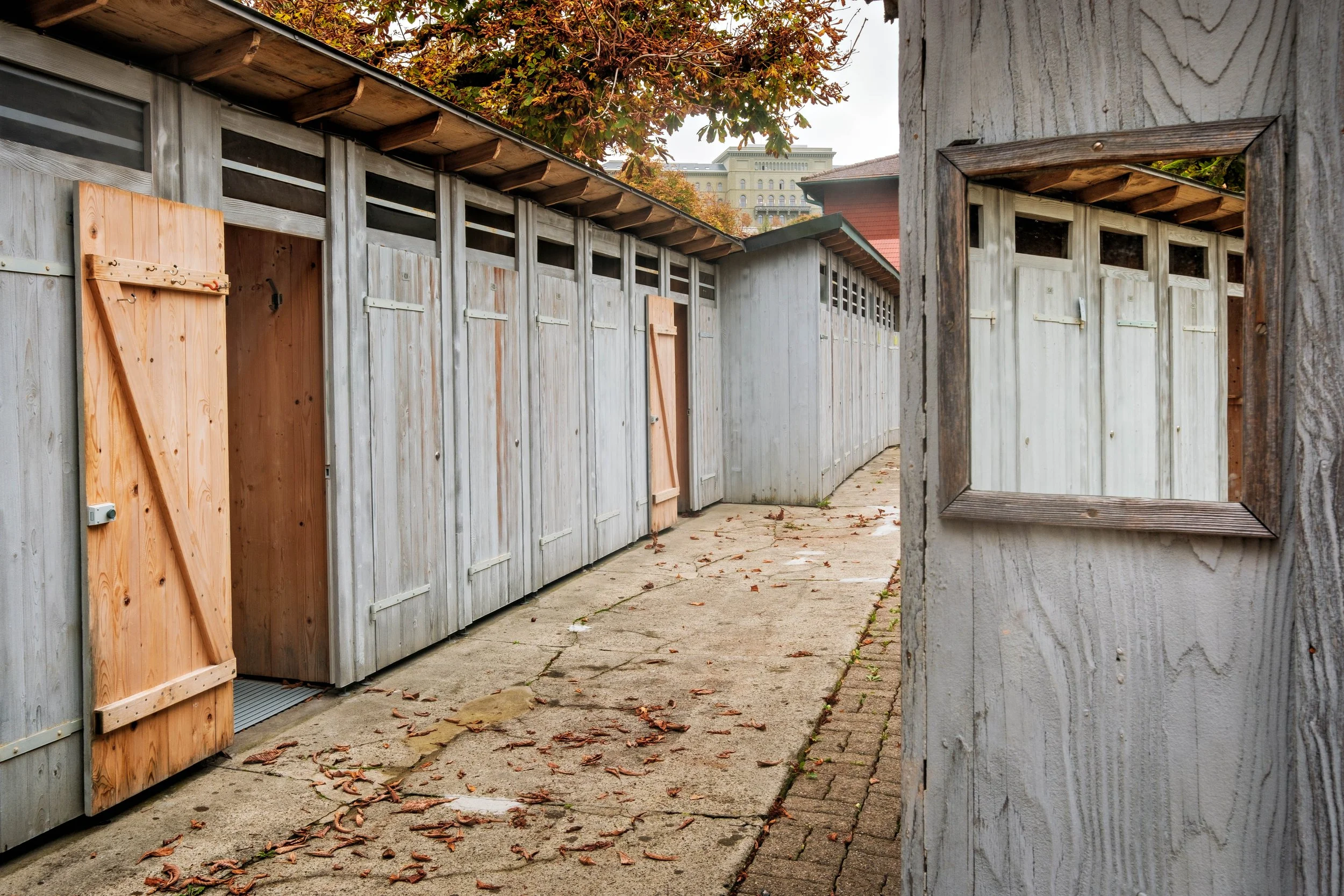 Wooden sheds with closed doors on a paved walkway, autumn leaves scattered on the ground, a framed mirror on a wall, trees with autumn foliage, and a building on a cloudy day.