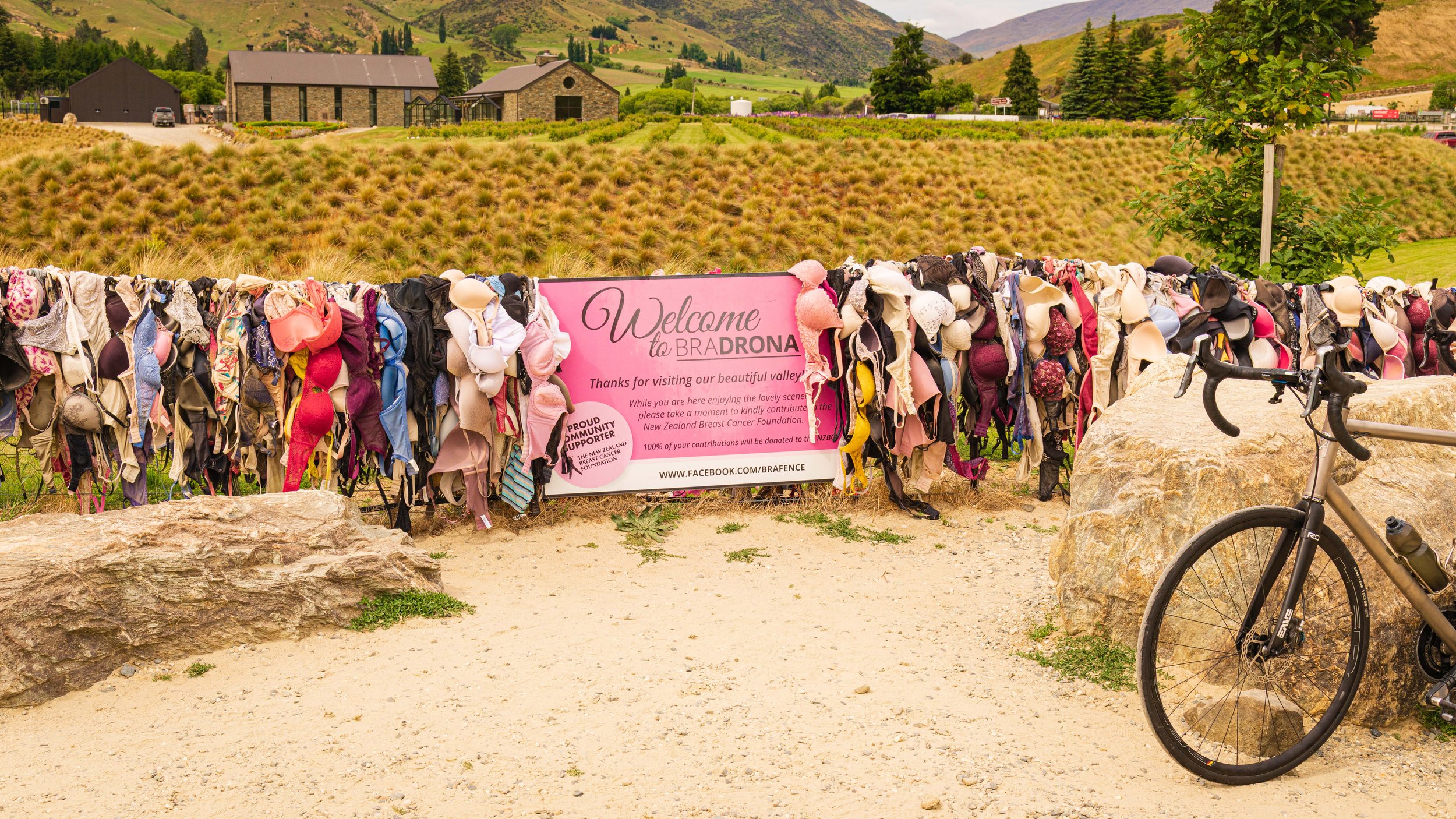 A fence decorated with bras and a pink sign welcoming visitors to Bra Drona in Waikato Valley, New Zealand, with rolling green hills and farm buildings in the background, and a bicycle leaning against a large rock to the right.