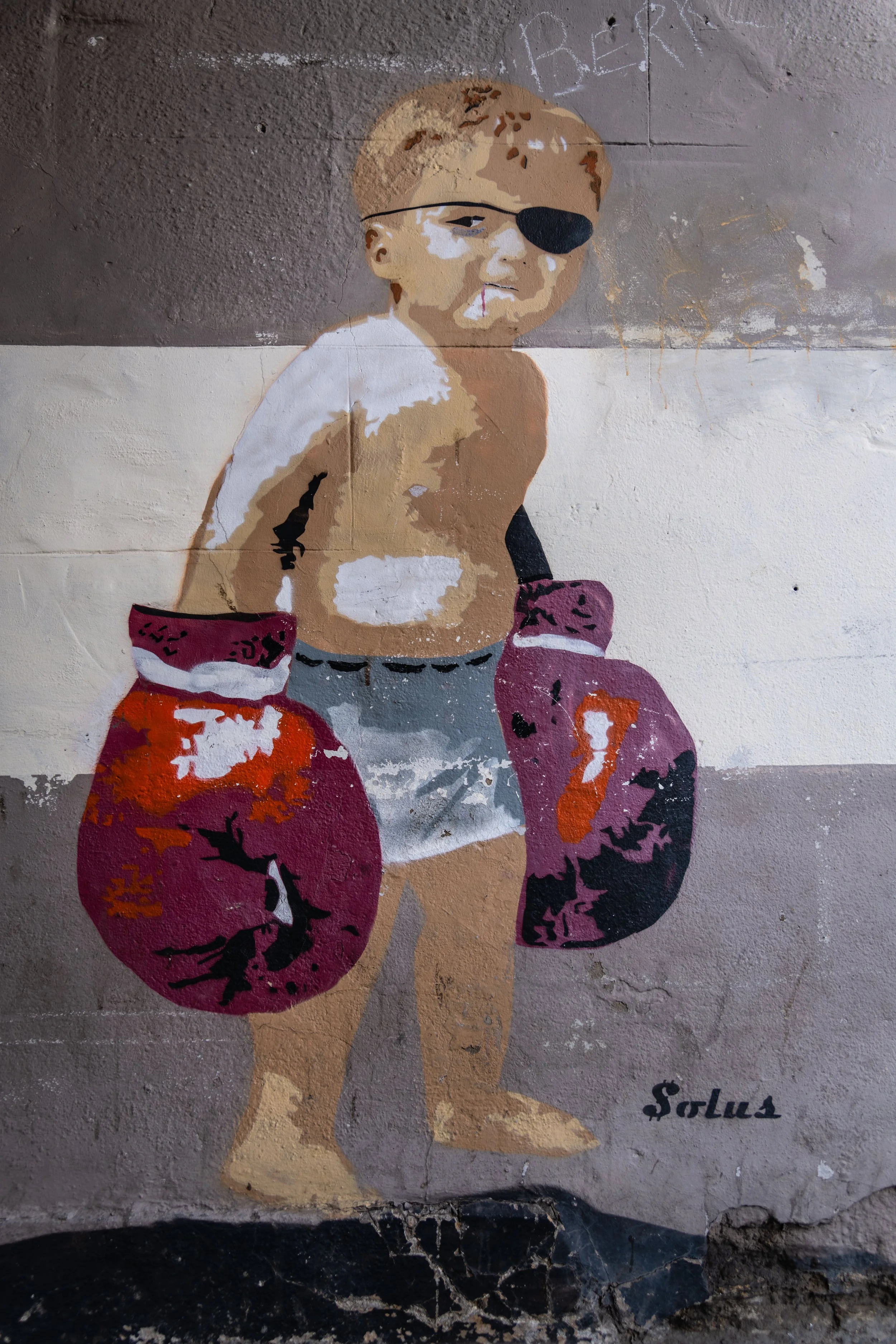 Graffiti art of a boxer dog with an eyepatch, boxing gloves, shorts, and a white towel over its shoulder, painted on a wall. The dog has brown fur and a serious expression. The word 'PERRO' is written above, and 'Solus' is signed below.