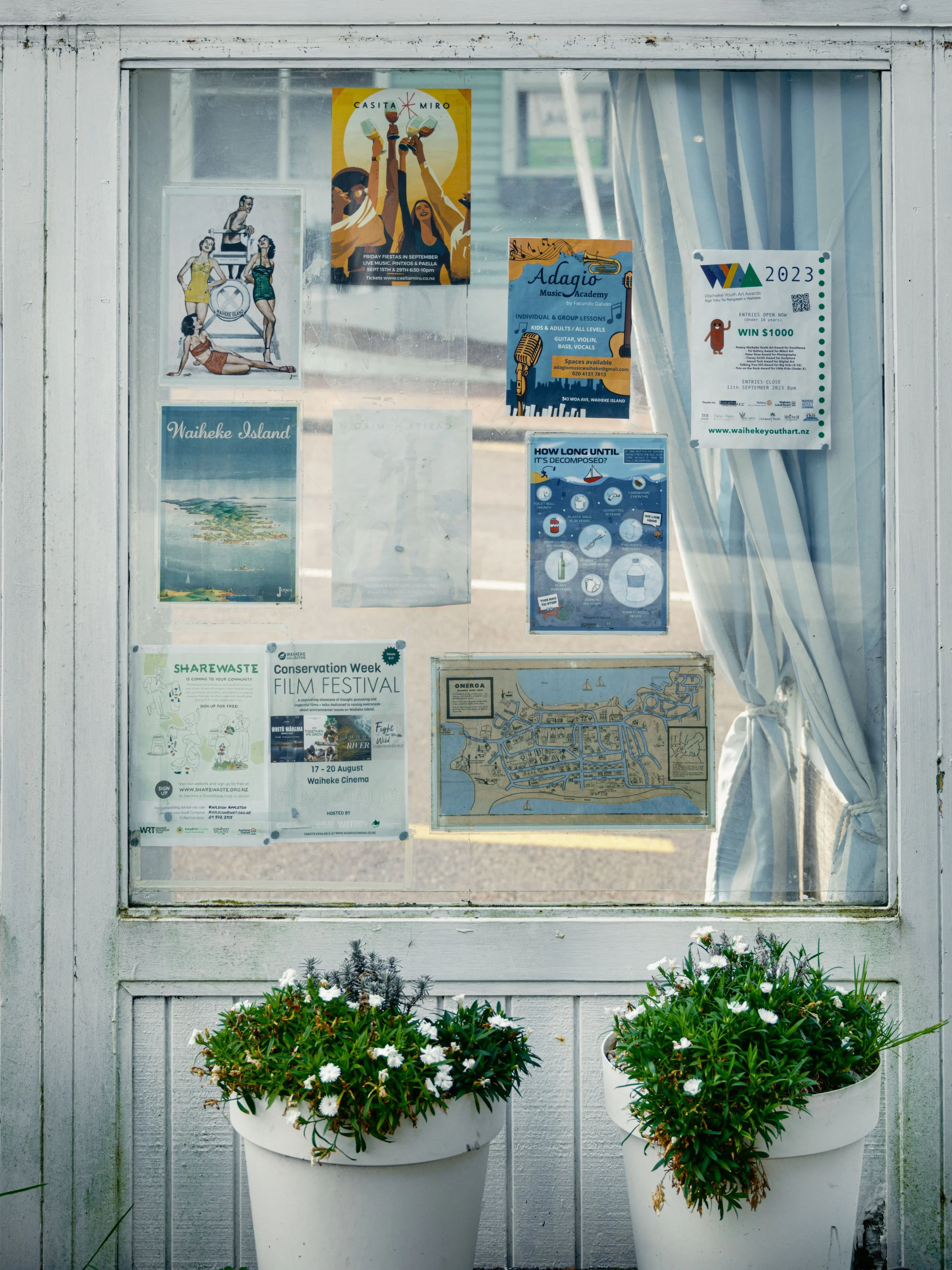 A bulletin board with various posters and flyers, behind two potted flowering plants, on a white wooden wall.