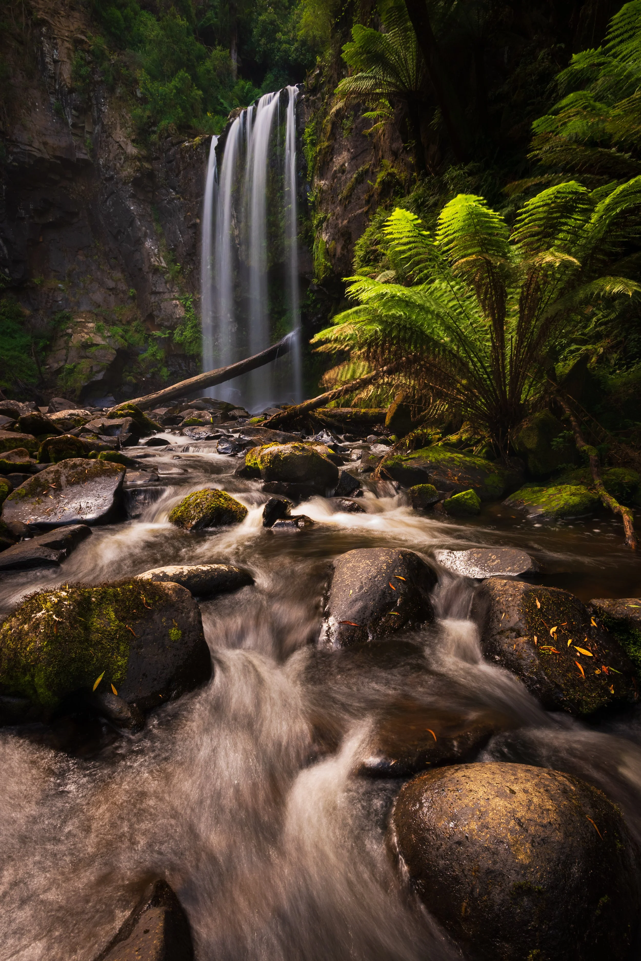 A waterfall cascading down a rocky cliff into a stream surrounded by lush green vegetation and ferns in a forest setting.