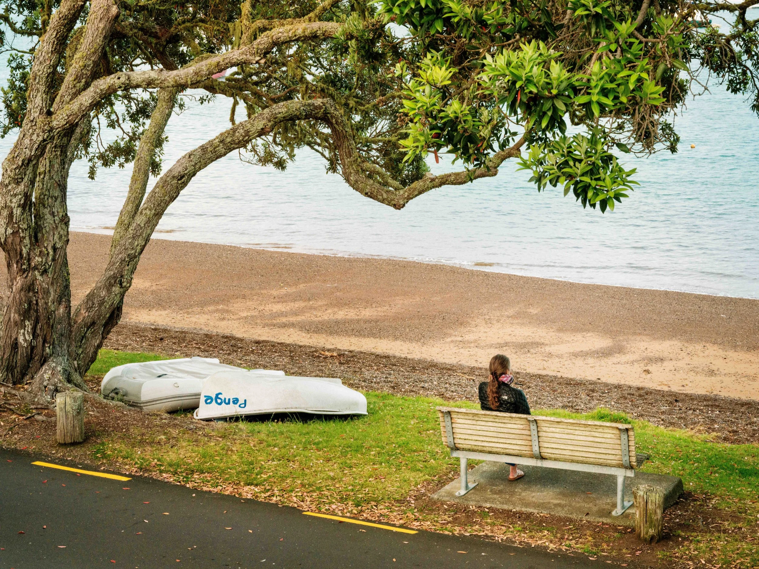 A woman sitting on a bench near a beach, facing the water with boats on the grass nearby, overhanging a large tree