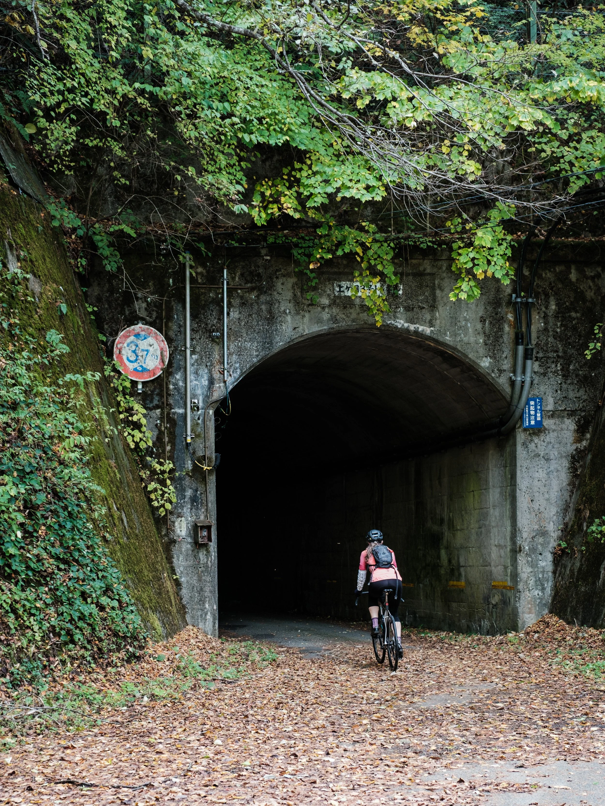 A person riding a bicycle towards a dark tunnel under a bridge, surrounded by fallen leaves and green foliage.