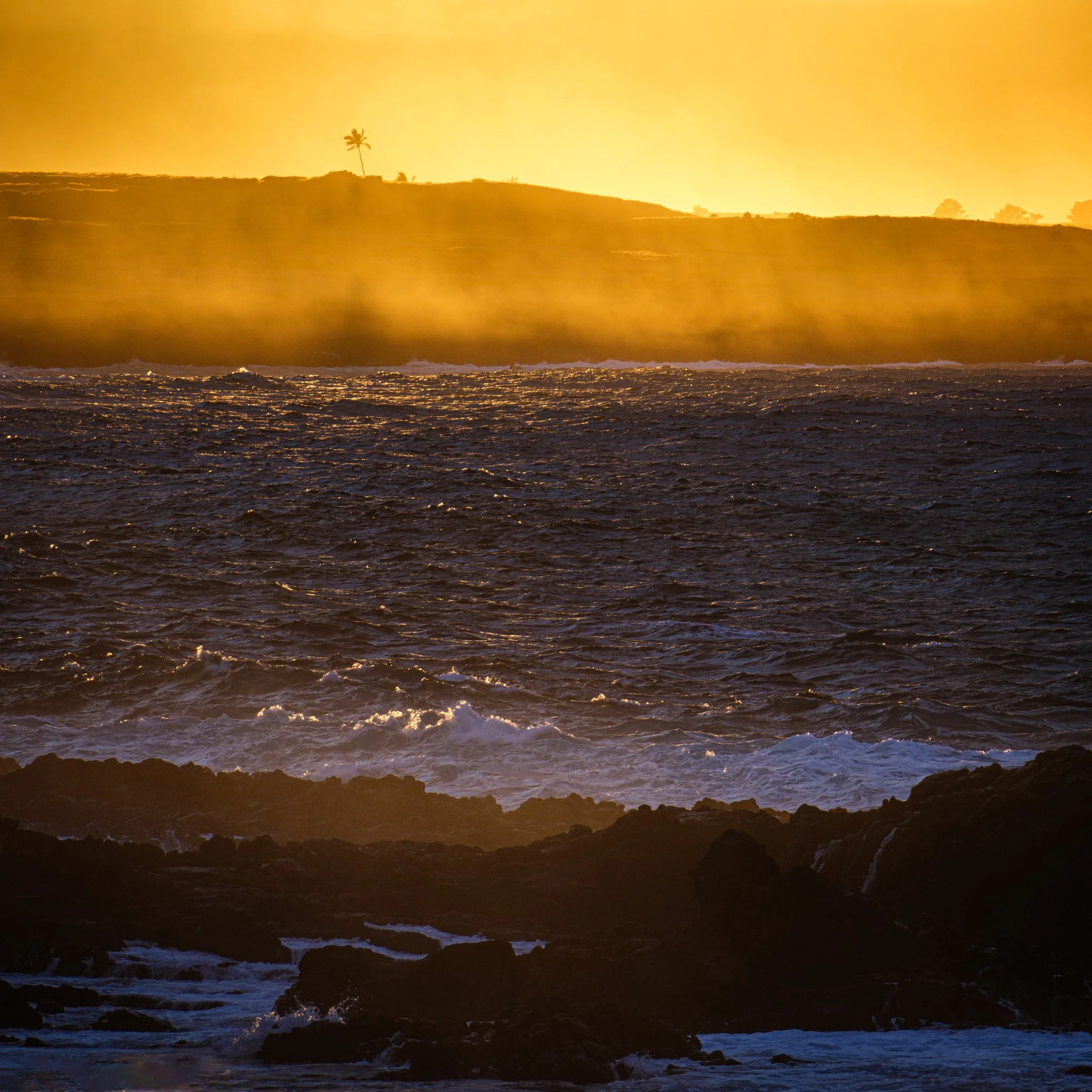 Sunset over the ocean with dark rocks in the foreground, a silhouette of a small island with a single palm tree on a distant hill, and warm golden hues in the sky.
