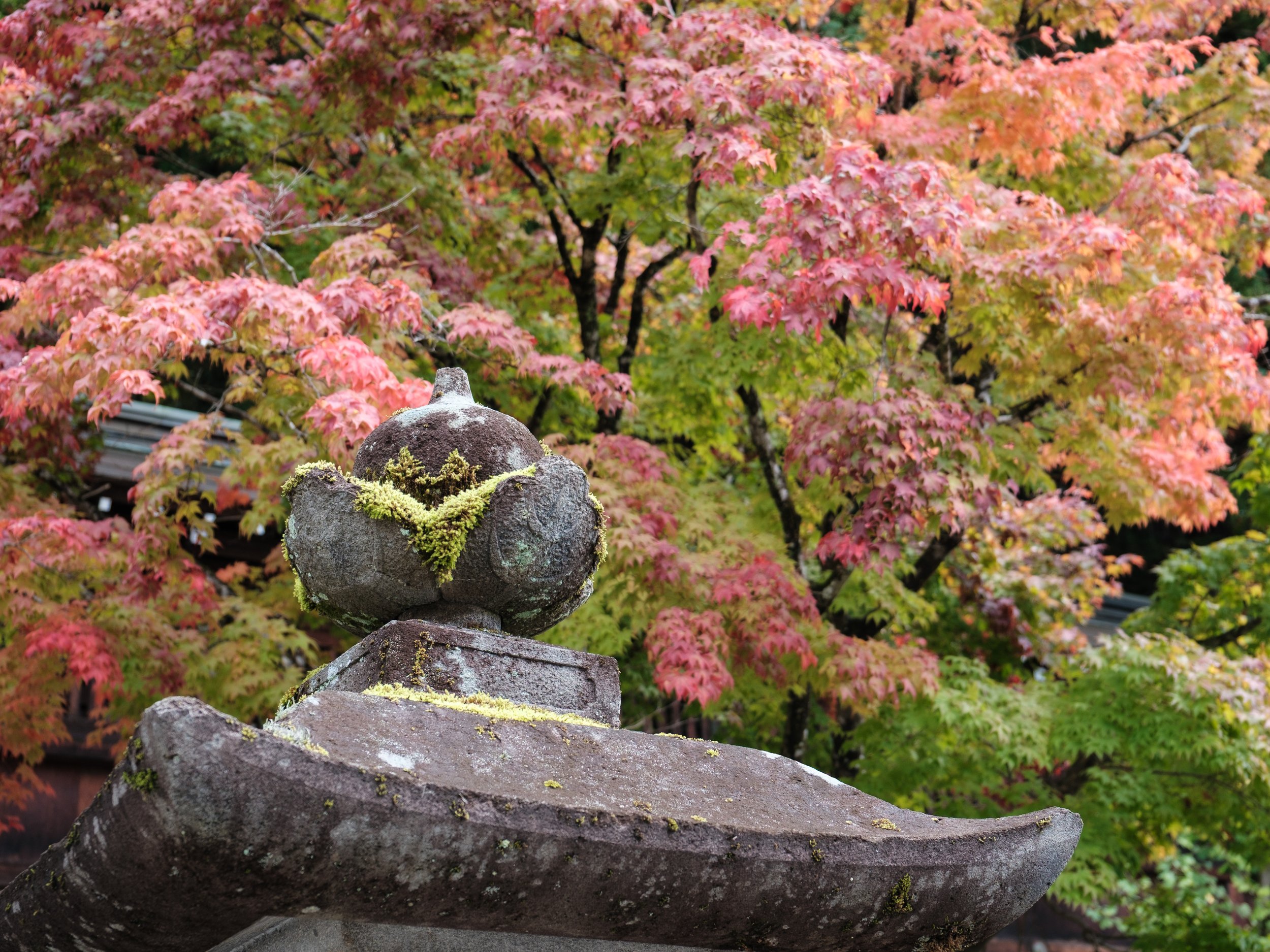 A weathered stone lantern covered with moss in front of colorful autumn leaves.