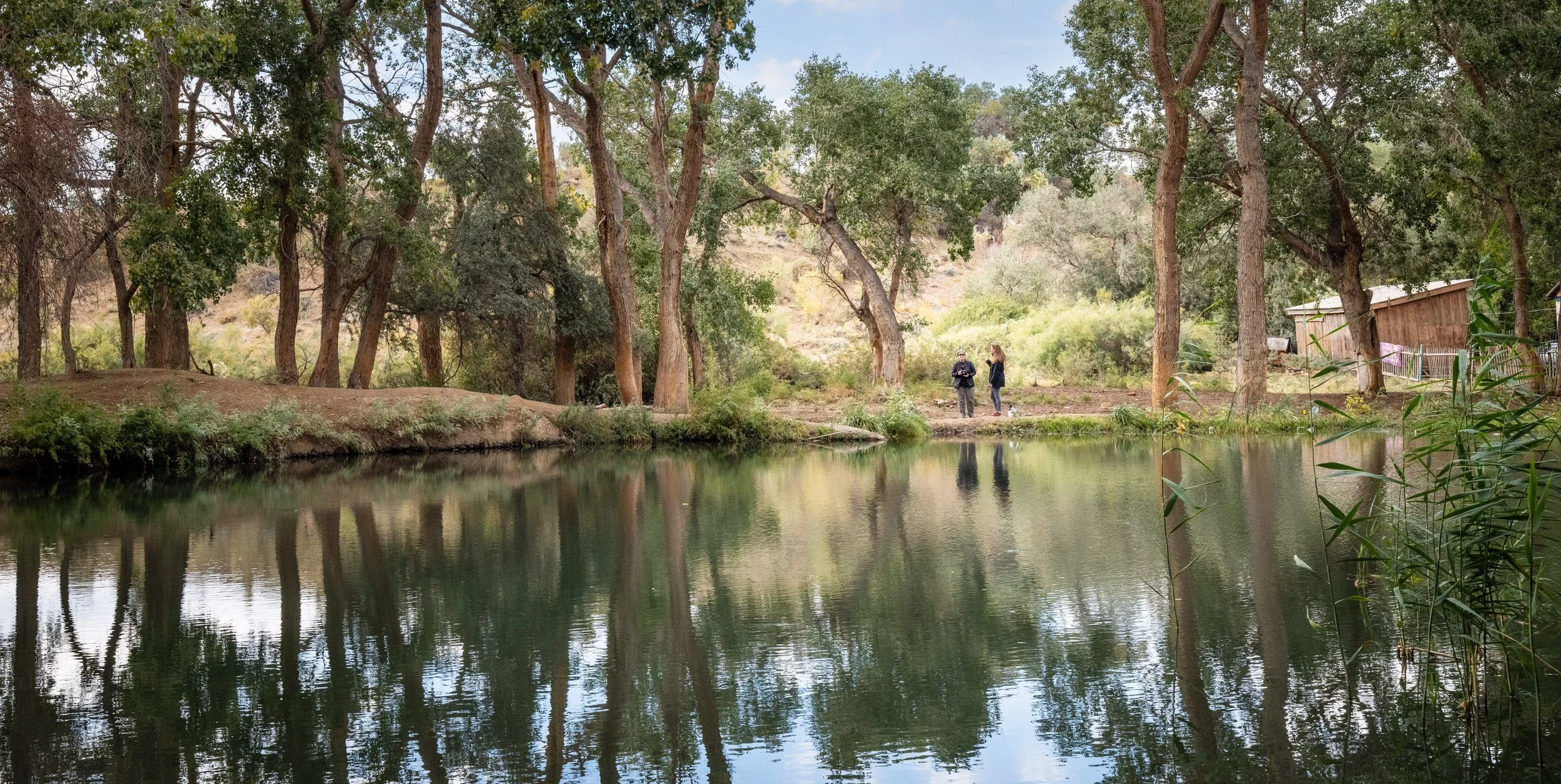 A serene scene of two people standing on a riverbank surrounded by tall trees with reflections in the water