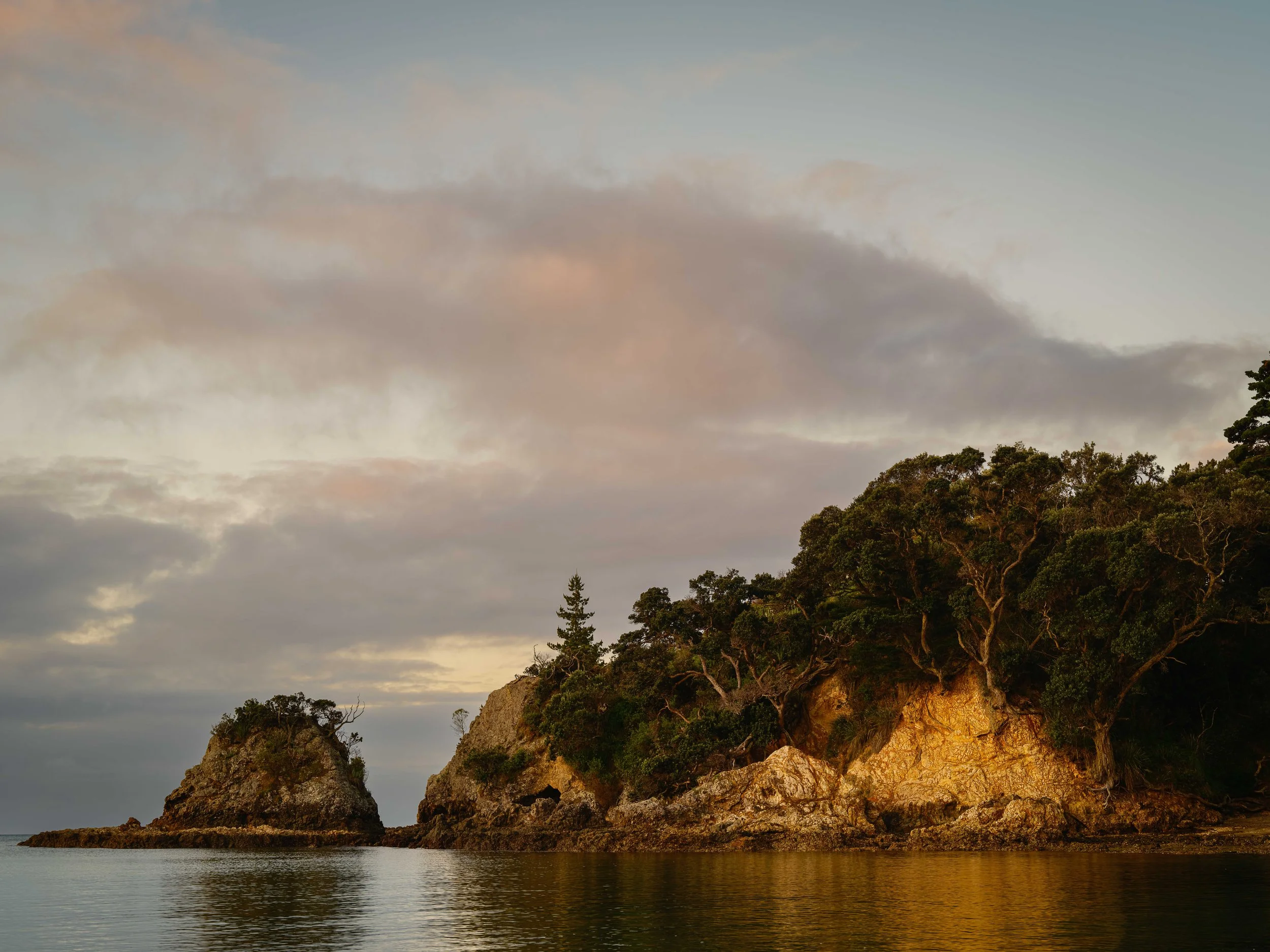 Coastal scene with rocky cliffs covered in trees, calm water, and cloudy sky at sunset.