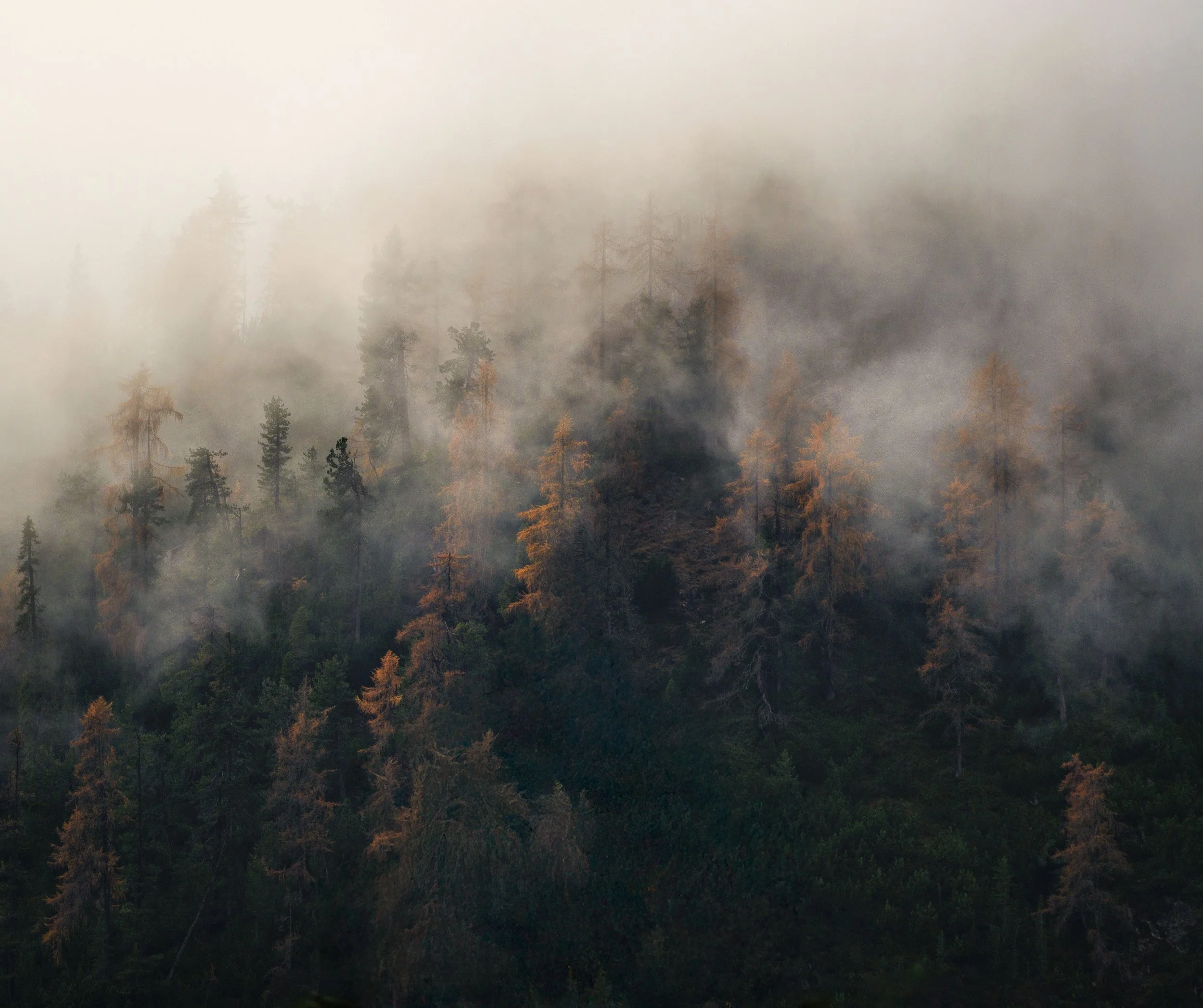 Smoke rising from a forest on a mountain slope.