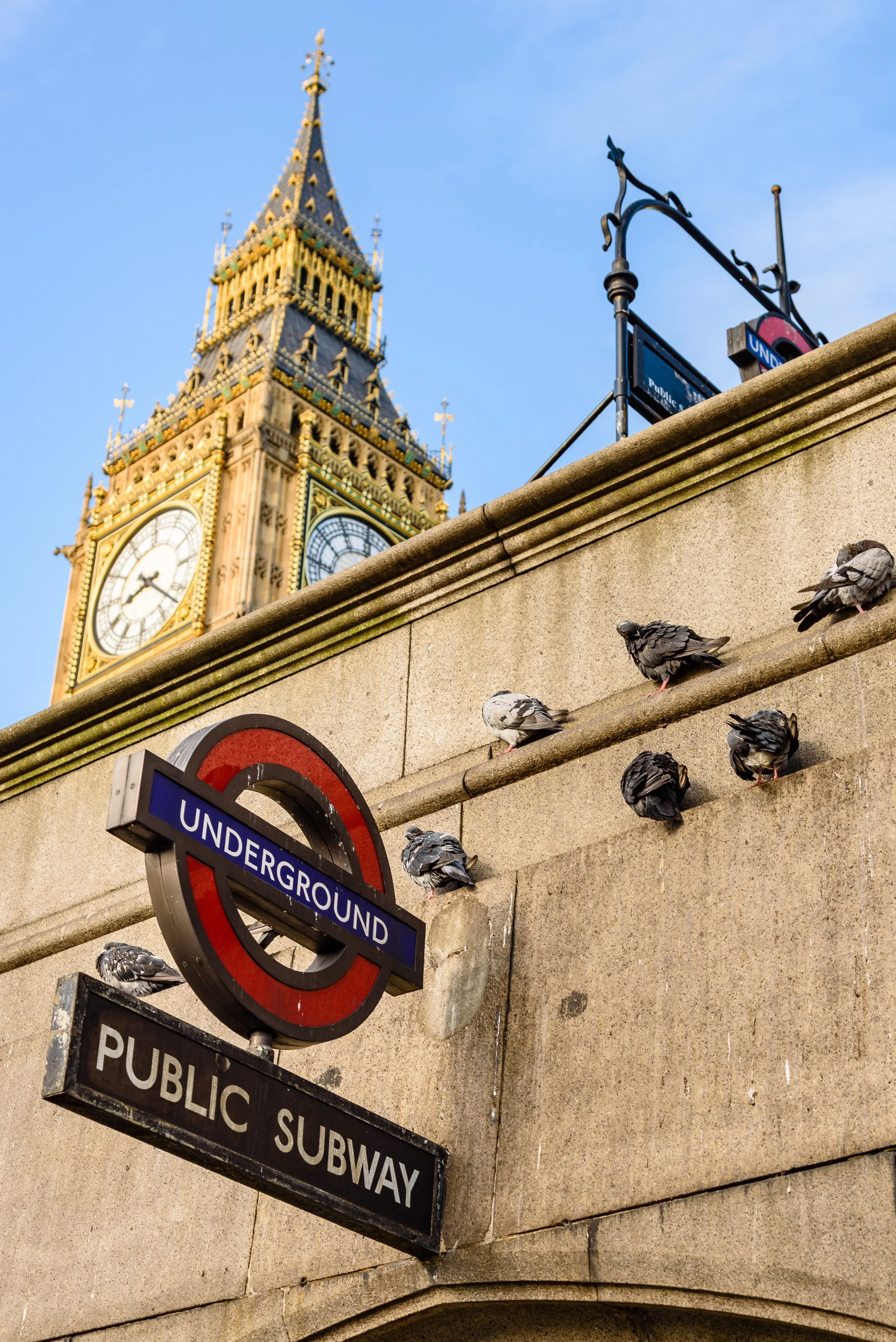 Pigeons sitting on a concrete ledge with the Big Ben clock tower in the background, above a London Underground sign for the public subway.