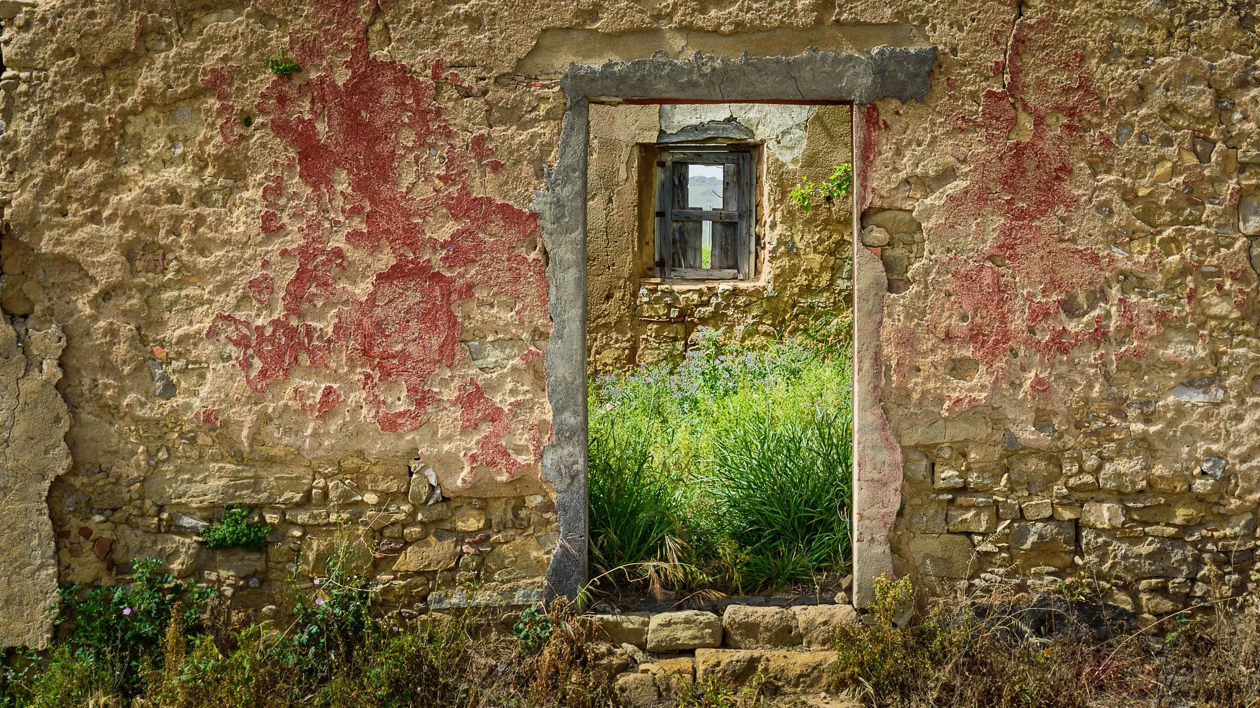 An abandoned stone building with a door and a window, overgrown with grass and plants.