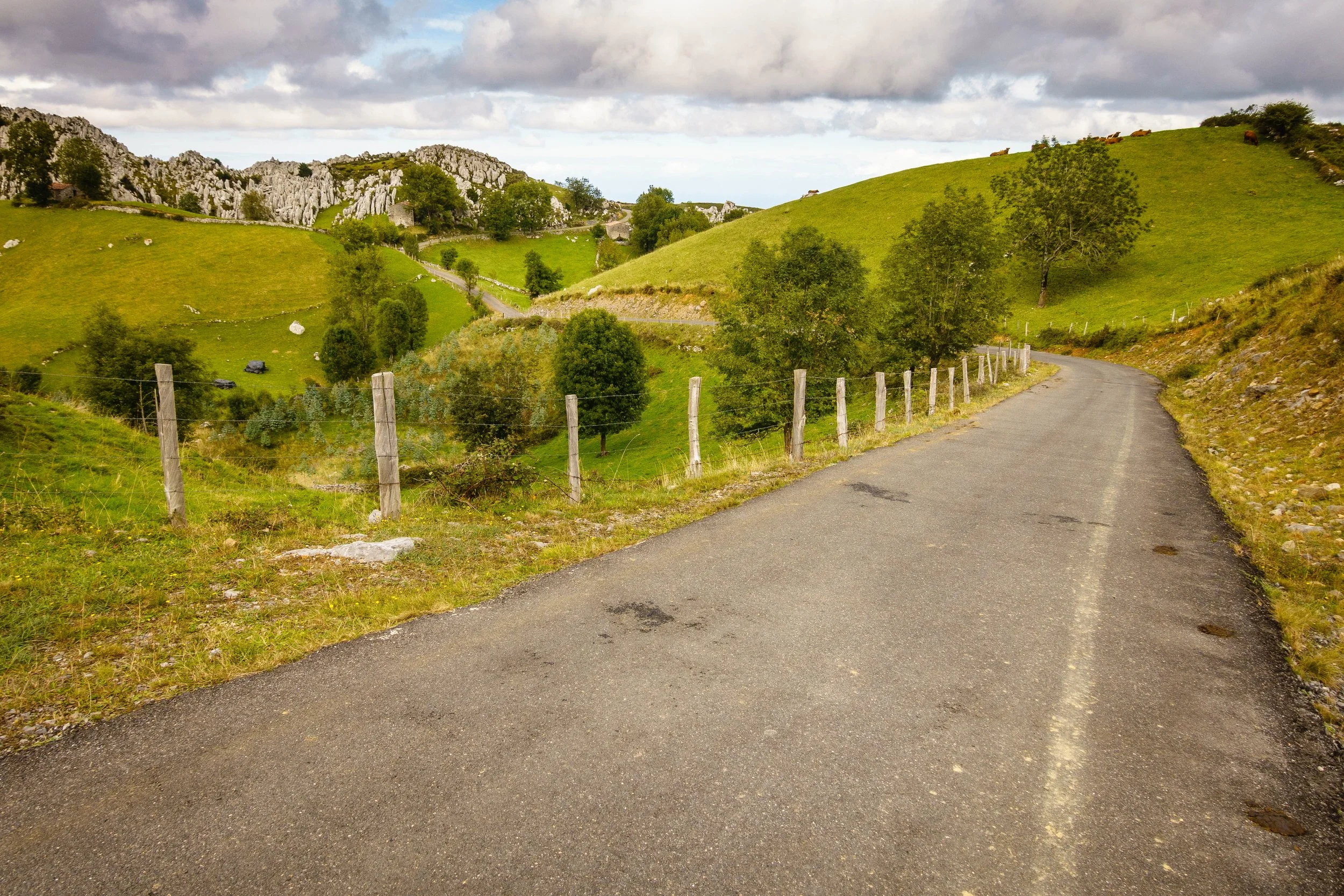A winding country road runs through green rolling hills with trees and a fence, under a cloudy sky.