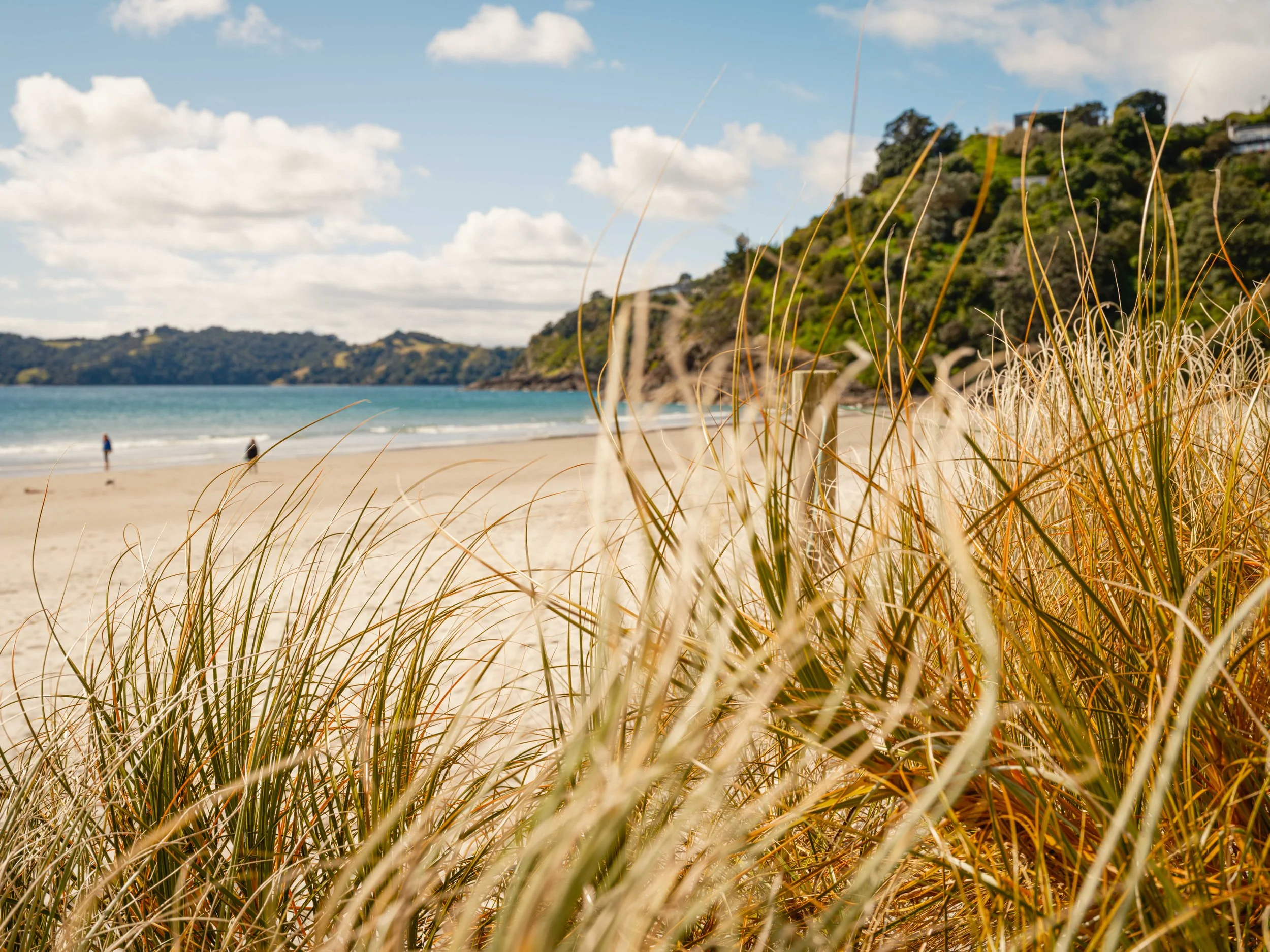 Beach scene with tall yellow-green grass in the foreground, sandy shore, ocean waves, a few people walking, and green hills in the background under a partly cloudy sky.