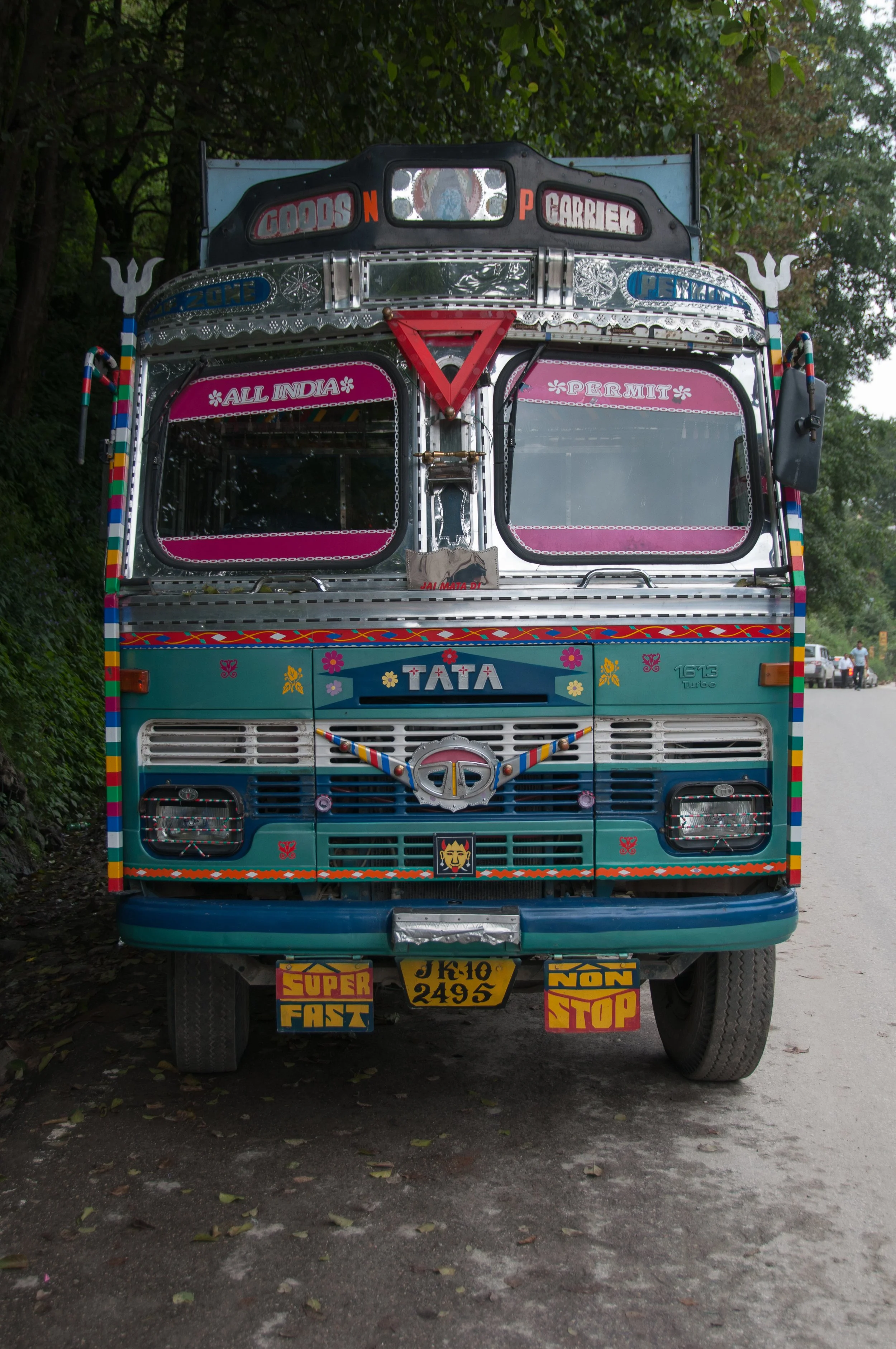Colorful decorated bus with various patterns, symbols, and text including 'TATA' on the front, 'Super Fast' on a sign, and the license plate 'JK 10 2495'.
