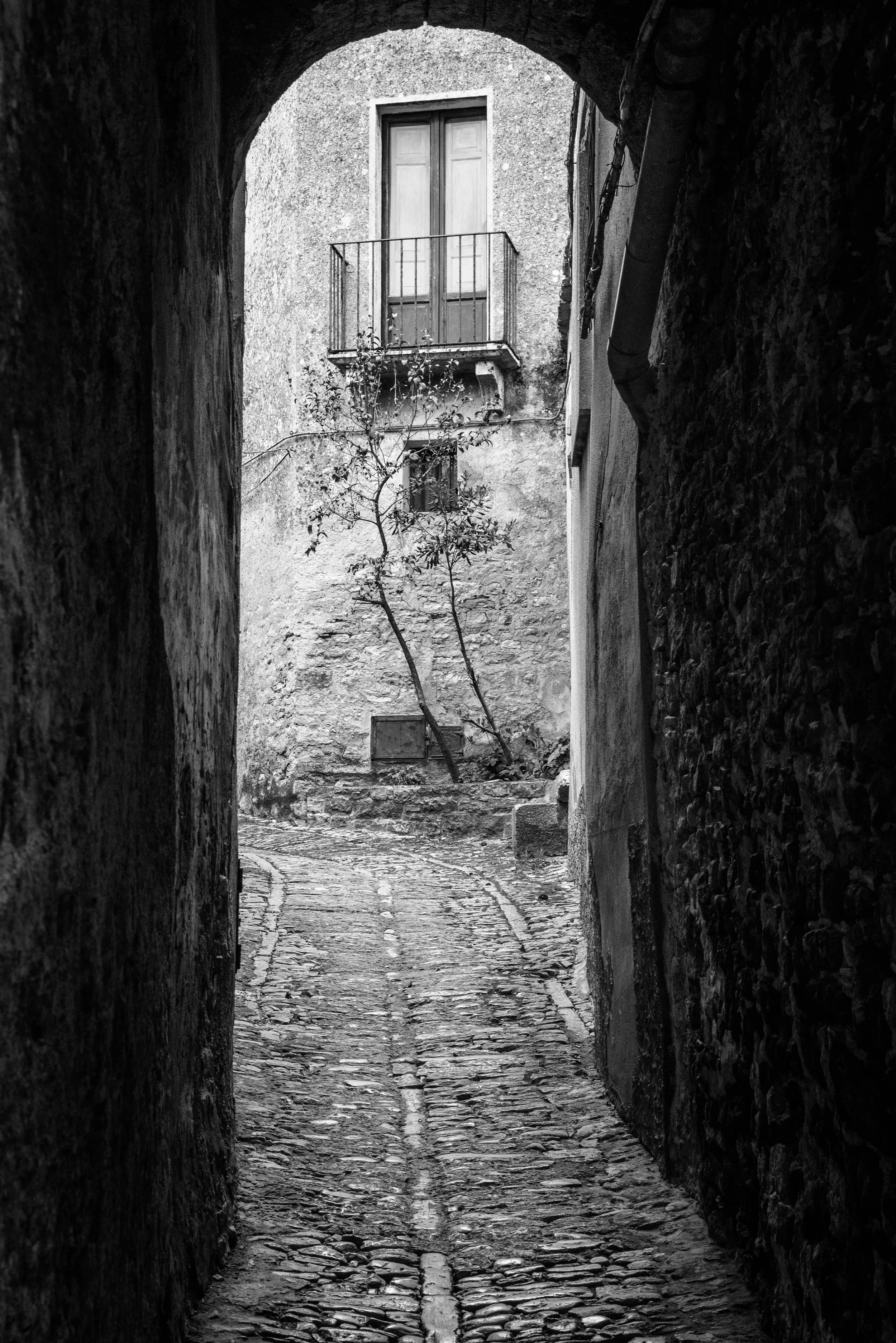 A narrow cobblestone alleyway seen through a dark archway, leading up to an old stone building with a small balcony and a leafless tree.