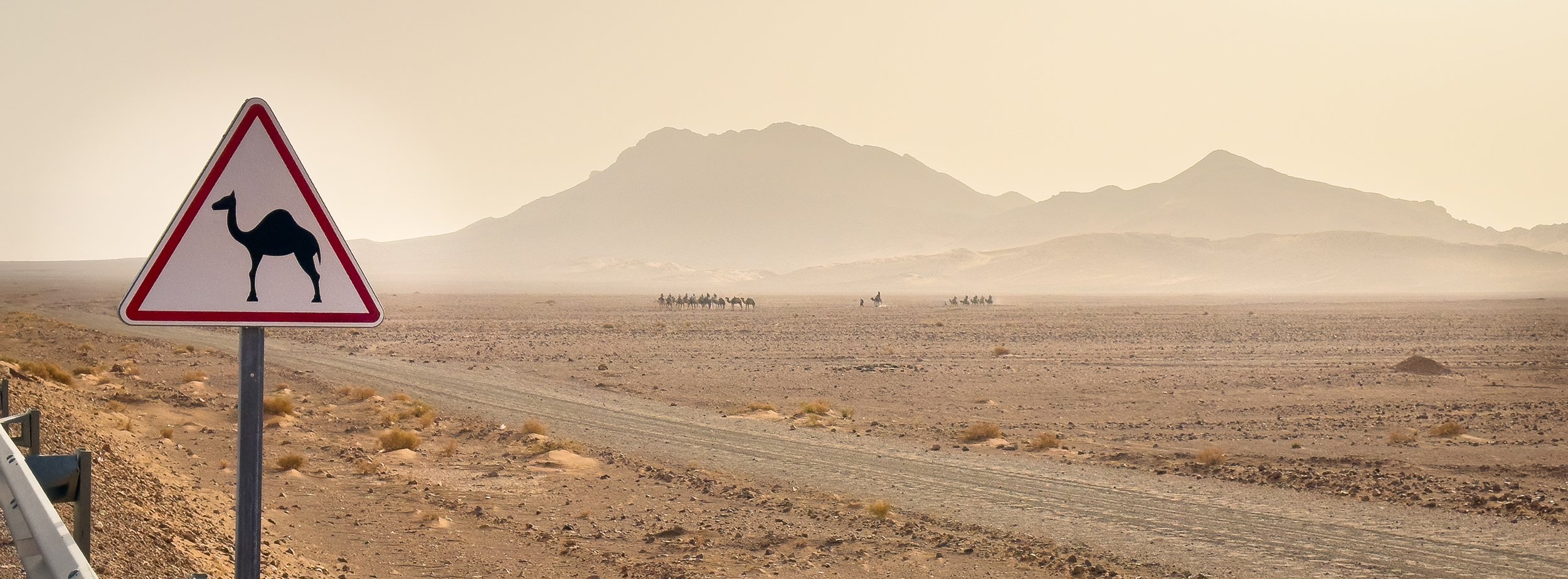 Desert landscape with distant mountains and a camel crossing warning sign in the foreground, with camels in the distance.