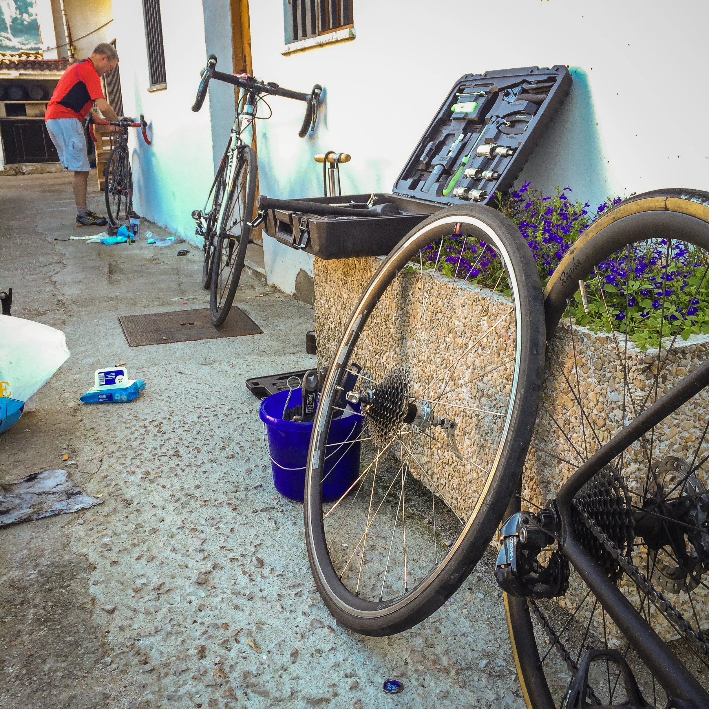 A person is cleaning a bicycle outside on a sidewalk, with bike repair tools and parts nearby, and another bicycle leaning against a low wall with purple flowers.