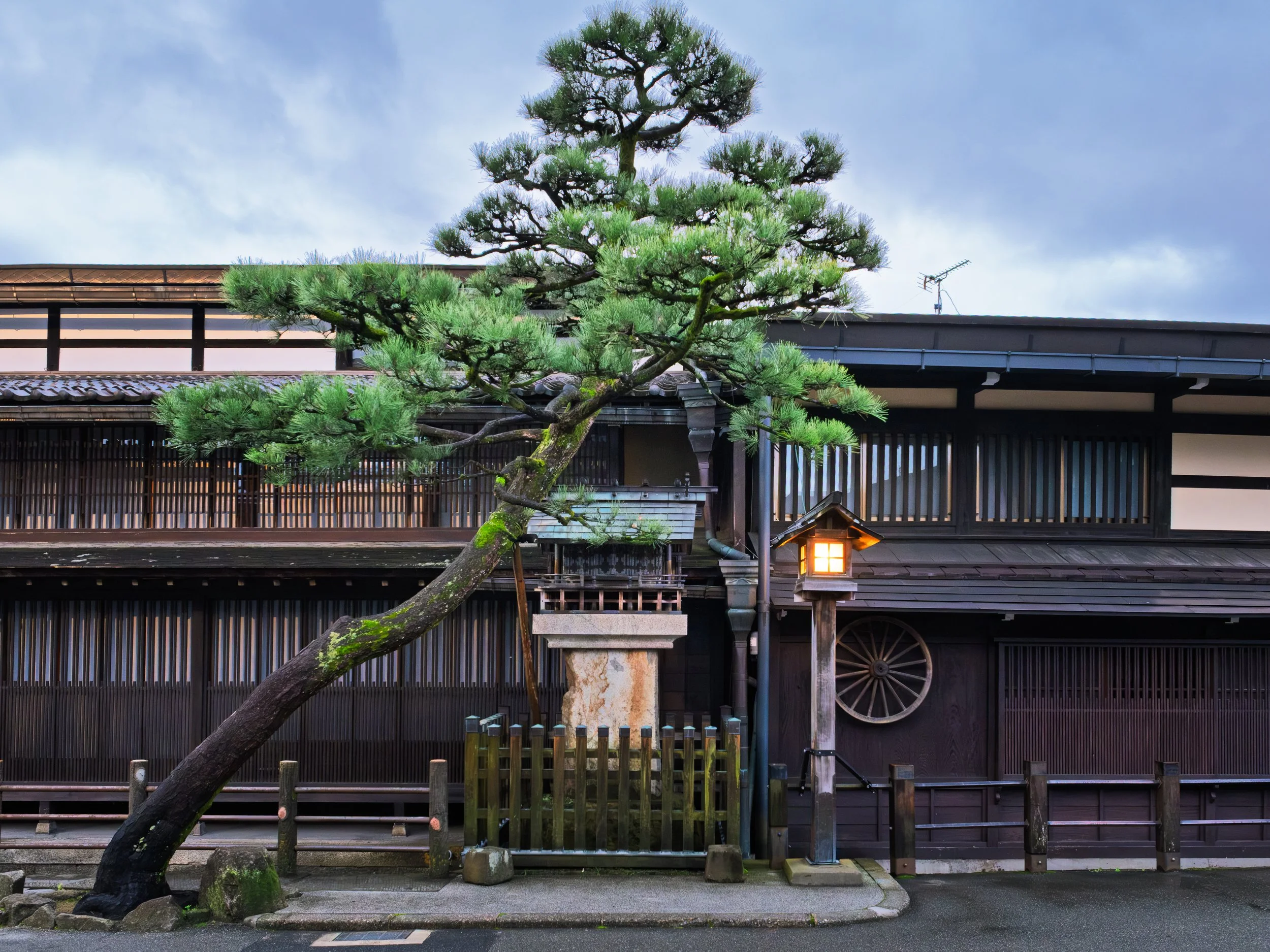 A traditional Japanese wooden building with a curved, moss-covered pine tree in front, lit lantern, and overcast sky.