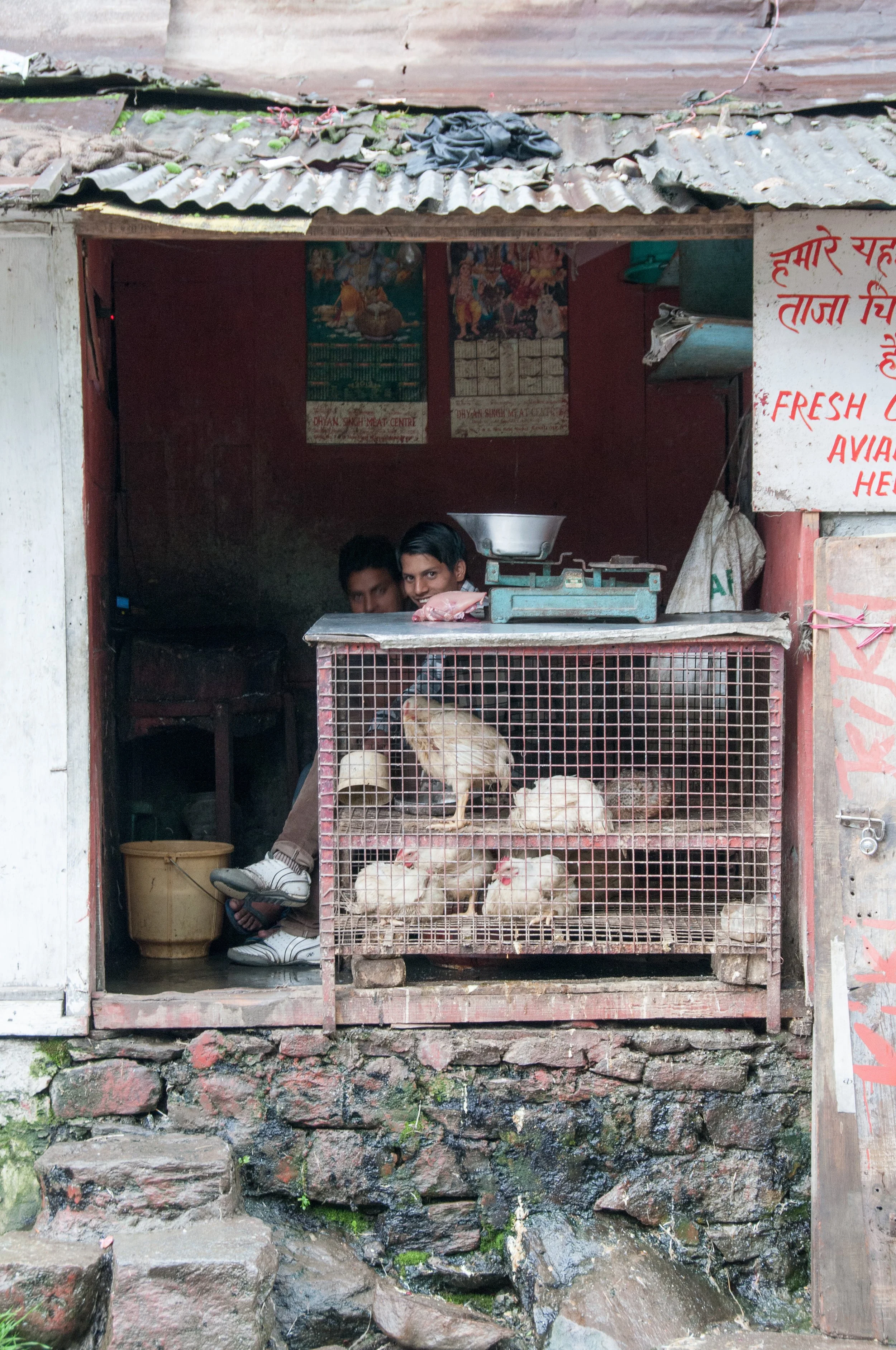 Small chicken shop with two men behind the counter, chickens in a cage, and a weighing scale.