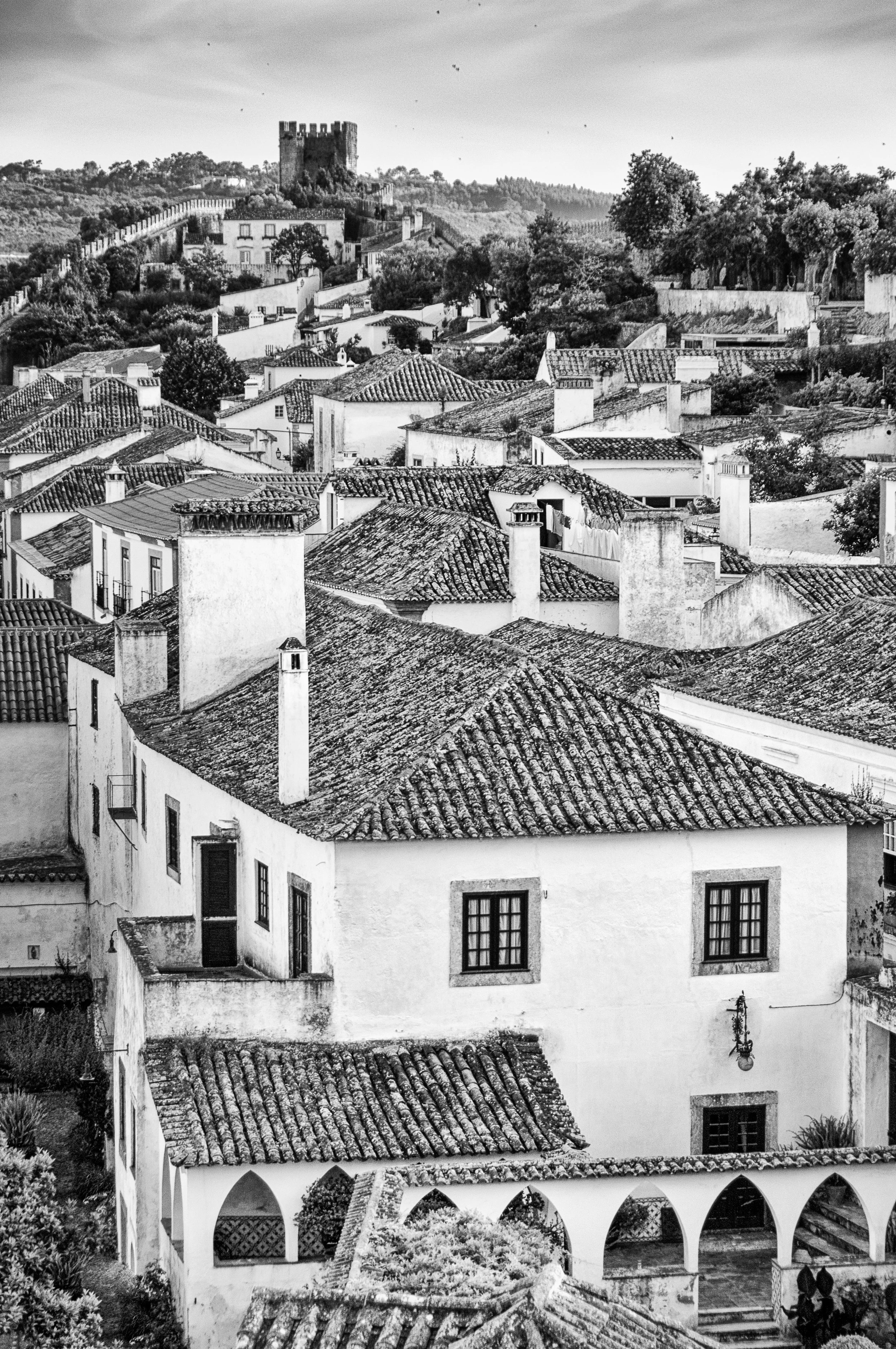 A black-and-white photo of a European town with tiled rooftops, chimneys, trees, and a castle on a hill in the background.