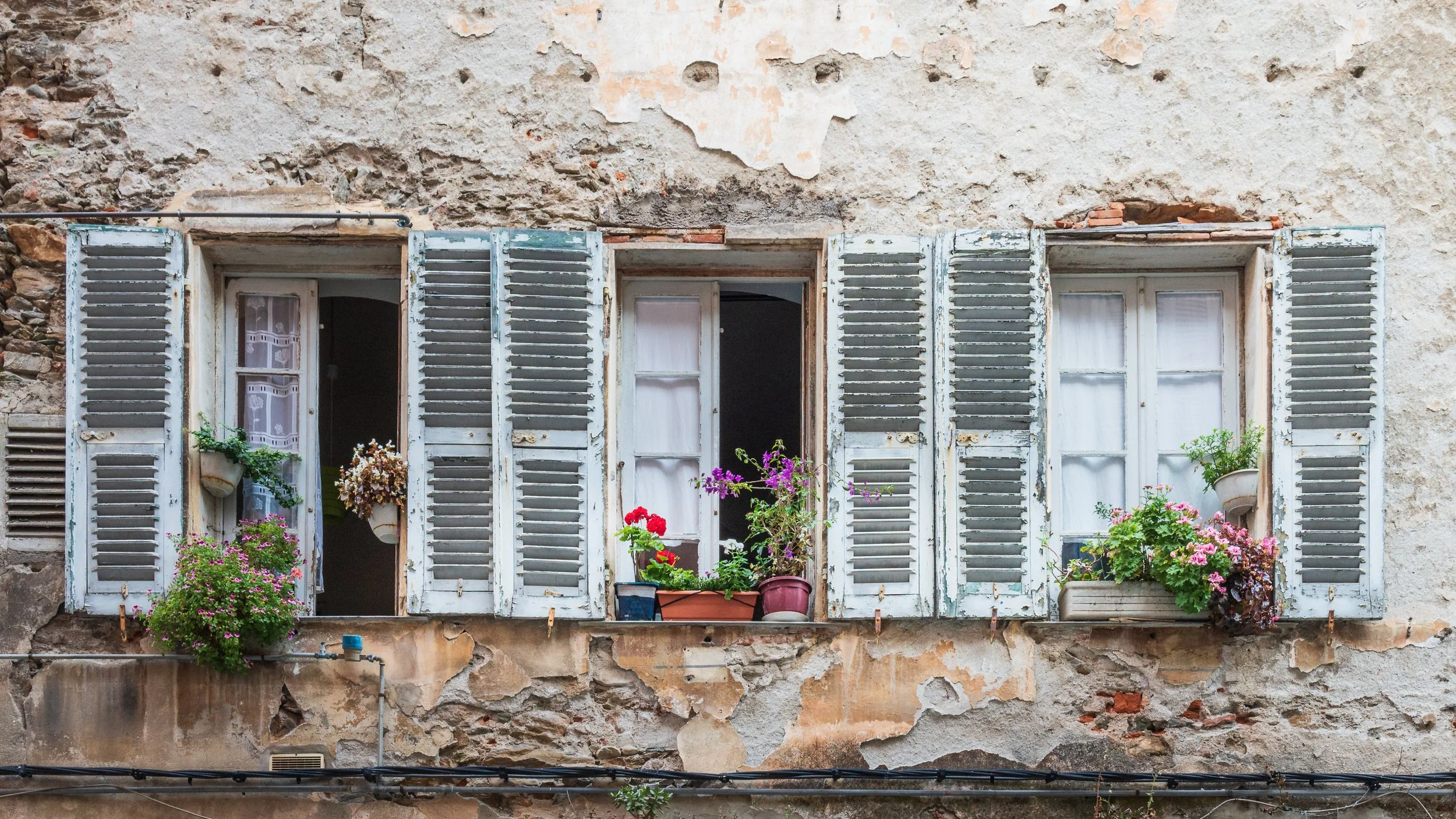 Old weathered building facade with three open windows and flower pots with colorful plants