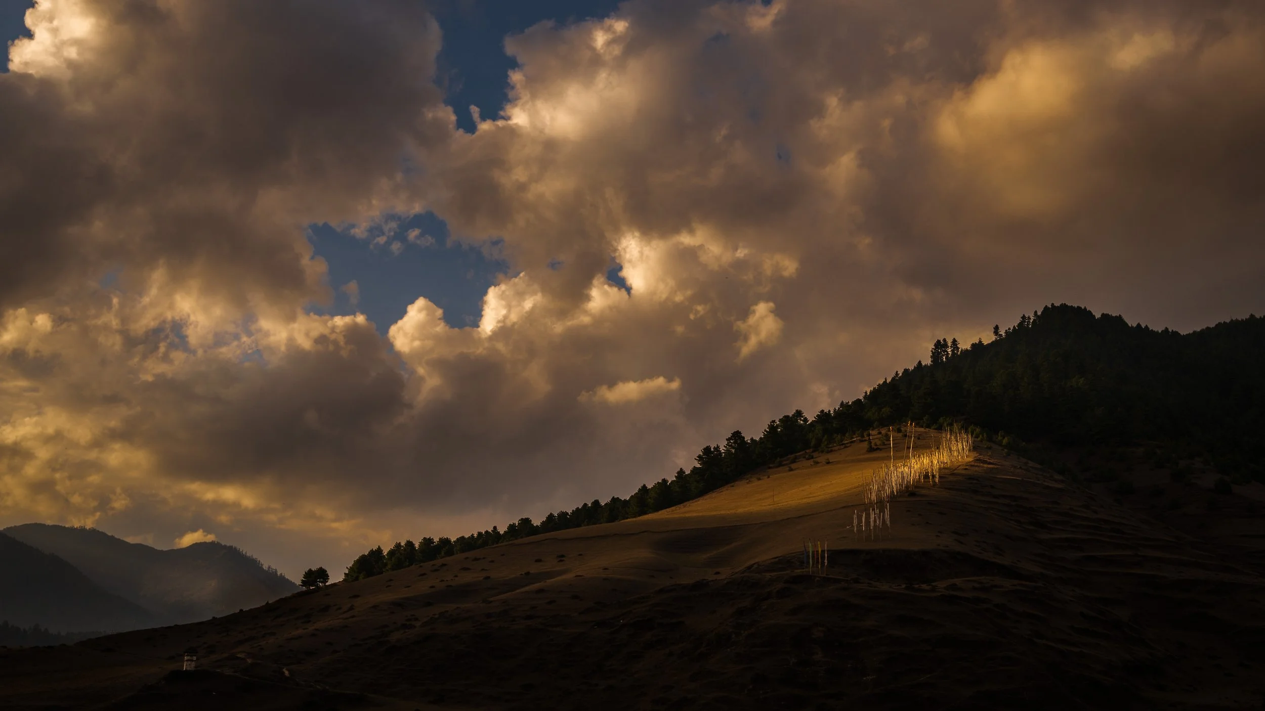 Sunlit hillside with trees and grasses beneath a dramatic cloudy sky during sunset or sunrise.