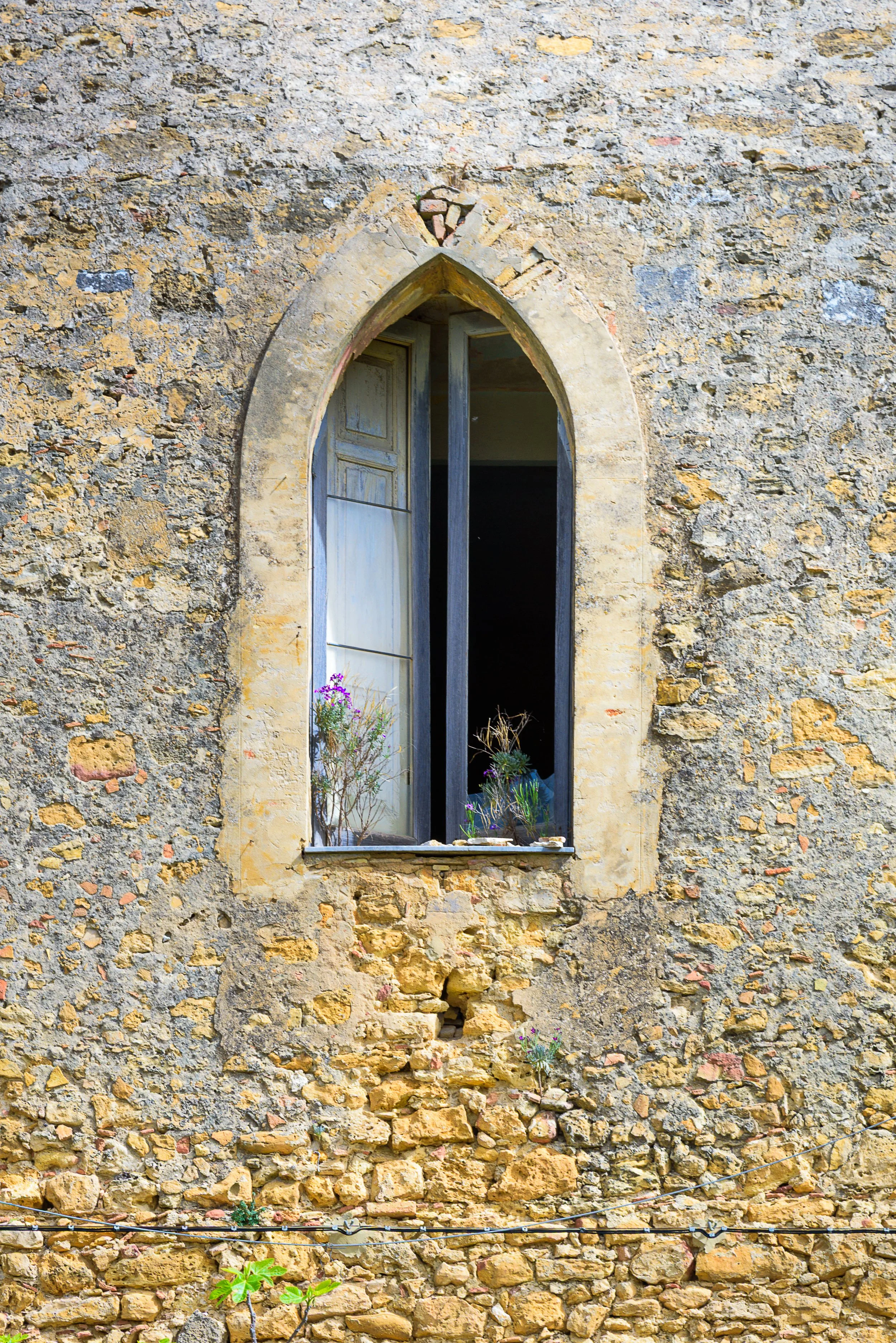 An old stone wall with a pointed, Gothic-style window frame, partially open window with plants inside, and some small plants growing on the wall.