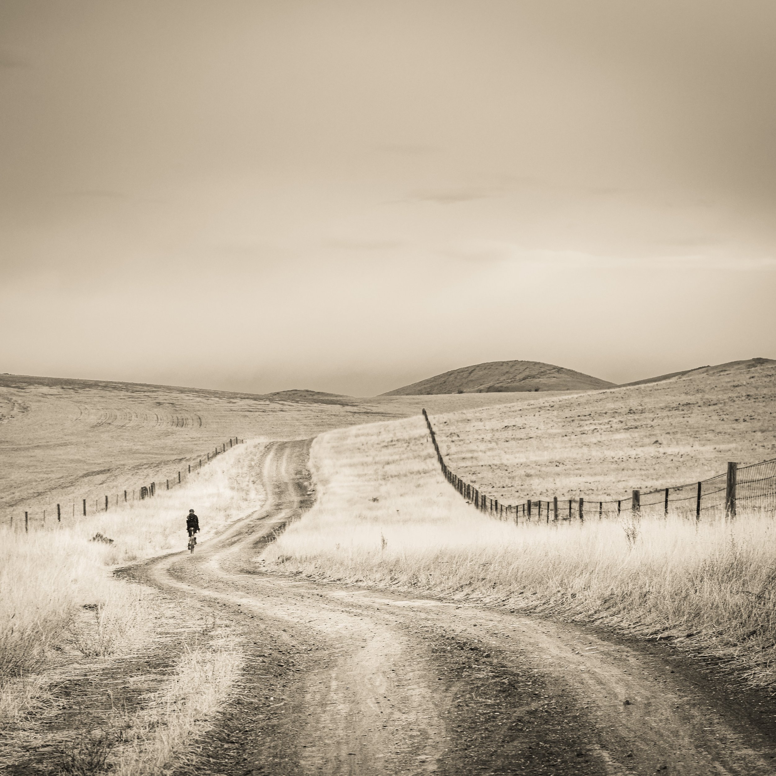 A sepia-toned landscape with a winding dirt road, fenced off fields, and a lone cyclist riding along the road.