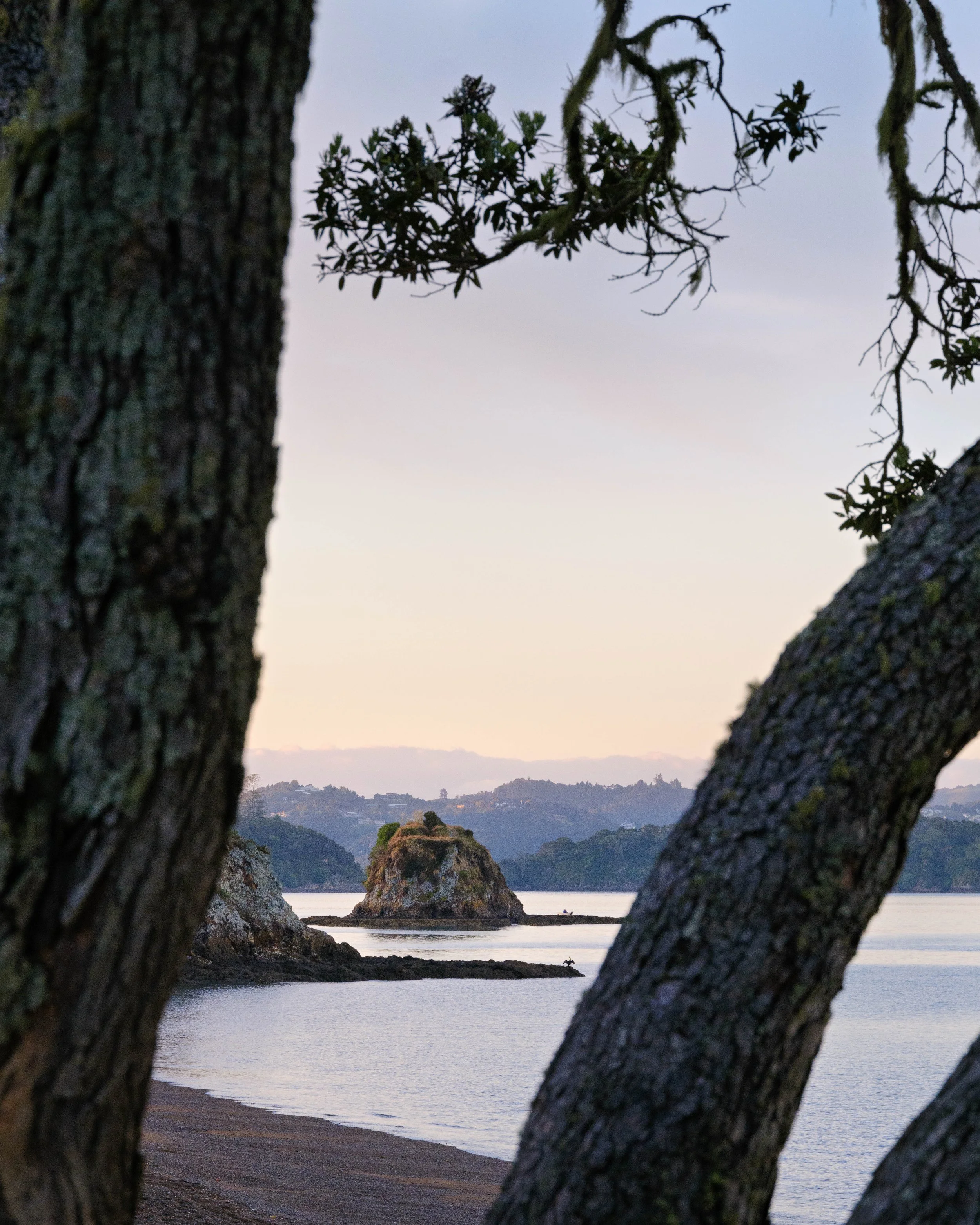 View of a small rocky island with sparse vegetation, across calm water, framed by large tree trunks and branches in the foreground