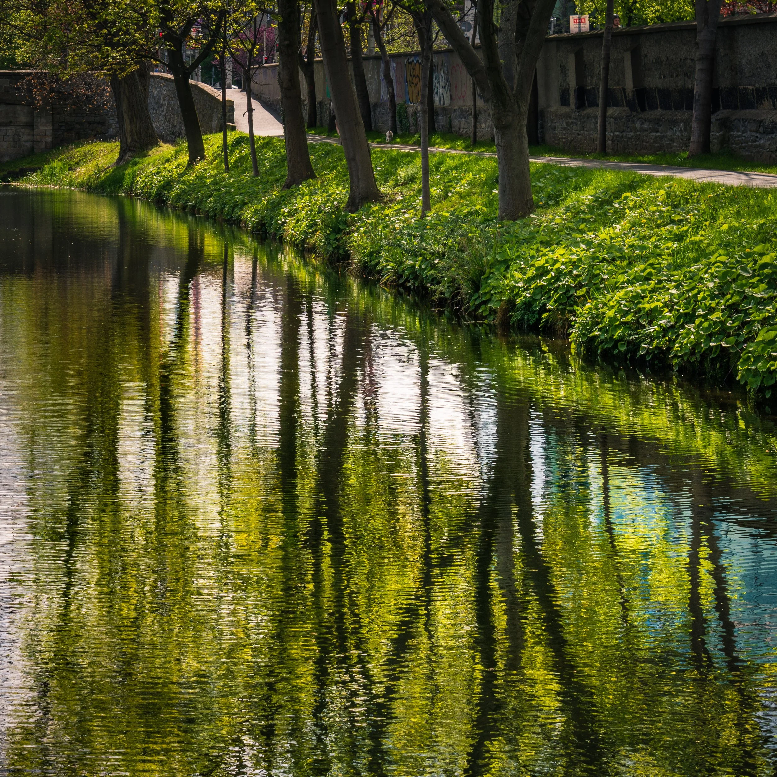 A peaceful riverside scene with green grass and trees reflected on the water, along a paved pathway lined with a stone wall.