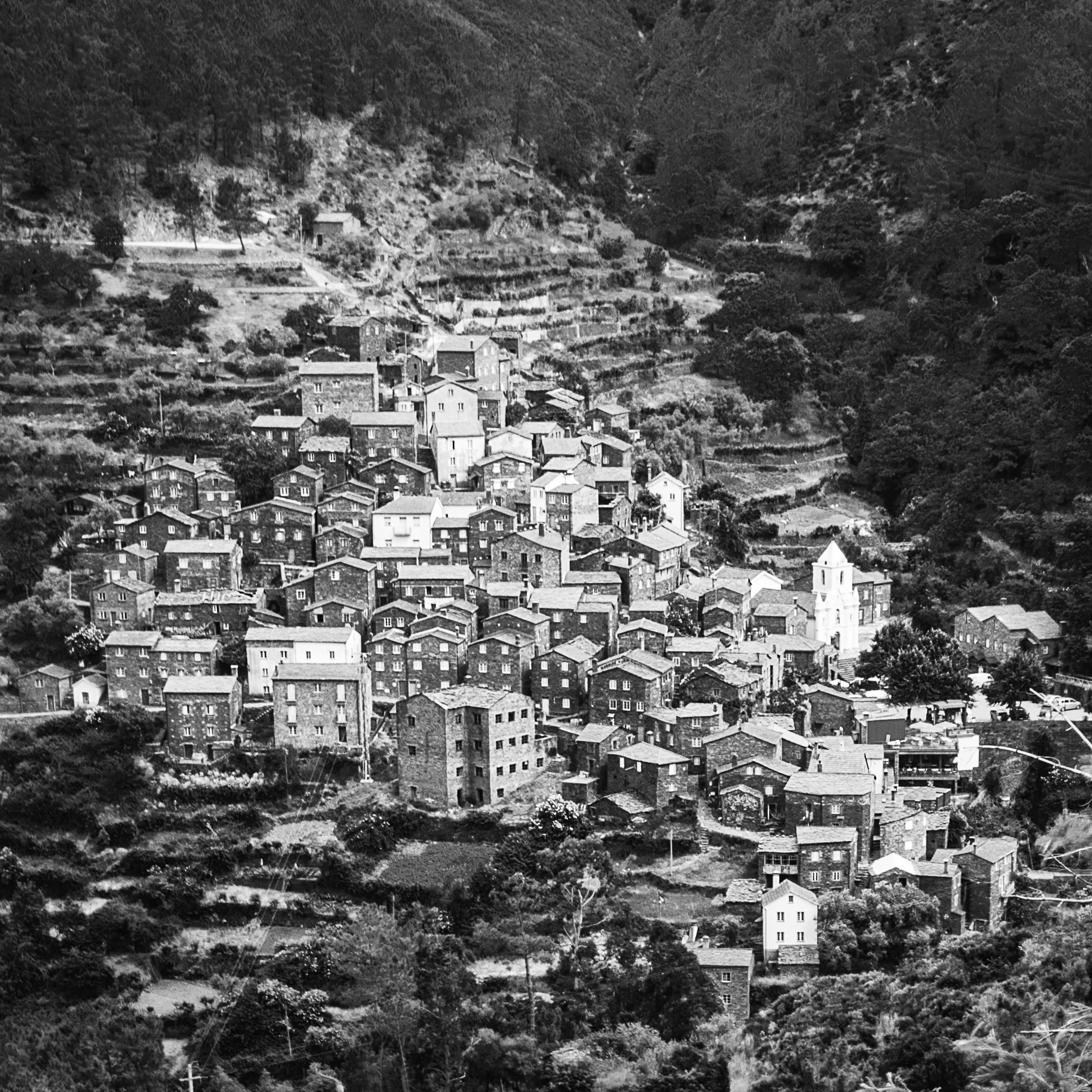A hillside town with numerous closely packed houses and a church with a tall steeple in the foreground, surrounded by trees and terraced fields.